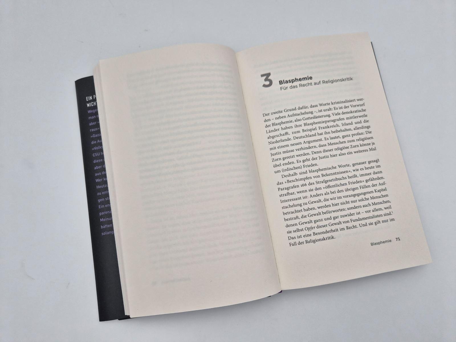 Beispielinhalt (Bild) Meinungsfreiheit