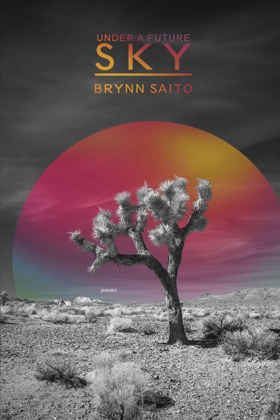 Vorderes Coverbild Under a Future Sky