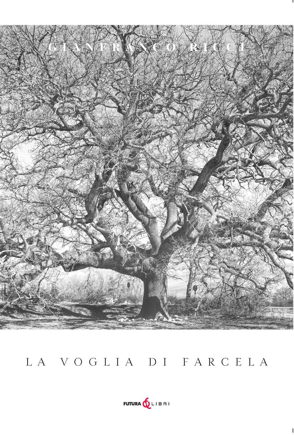 Vorderes Coverbild La voglia di farcela