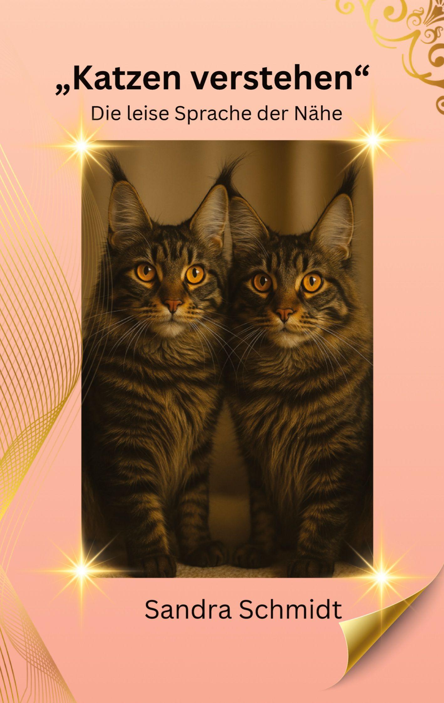 Vorderes Coverbild Katzen verstehen