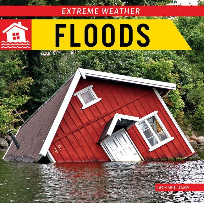 Vorderes Coverbild Floods