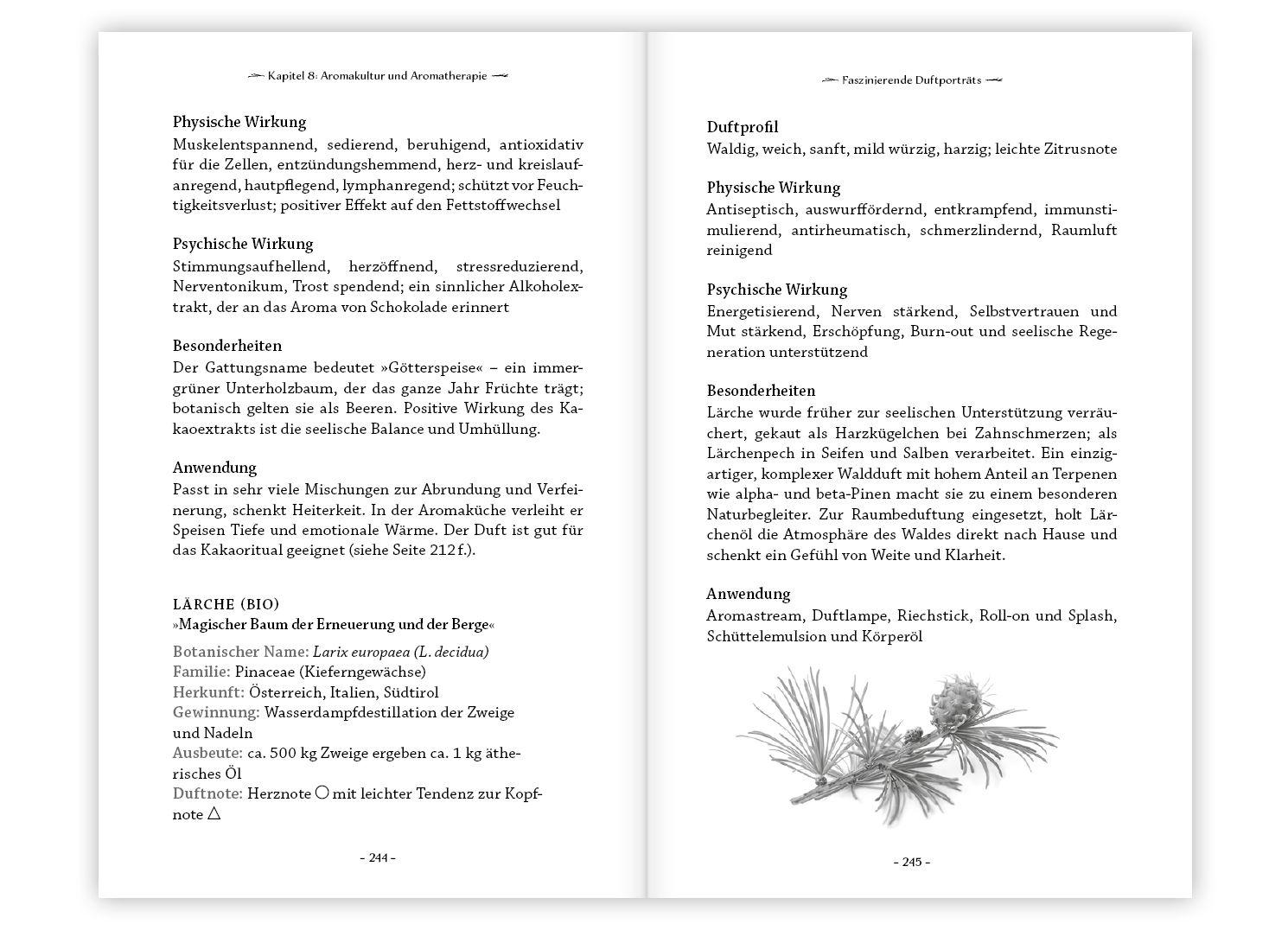 Beispielinhalt (Bild) Natur-Resilienz