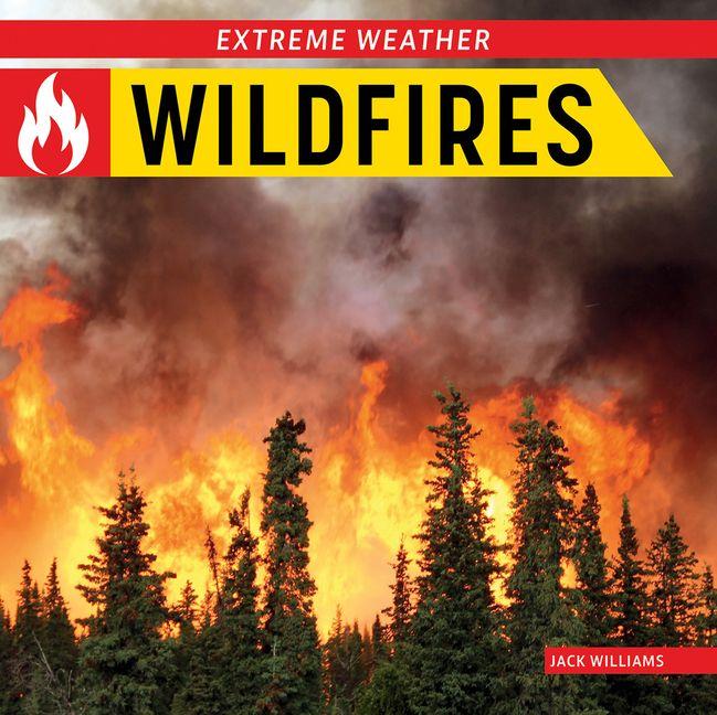 Vorderes Coverbild Wildfires