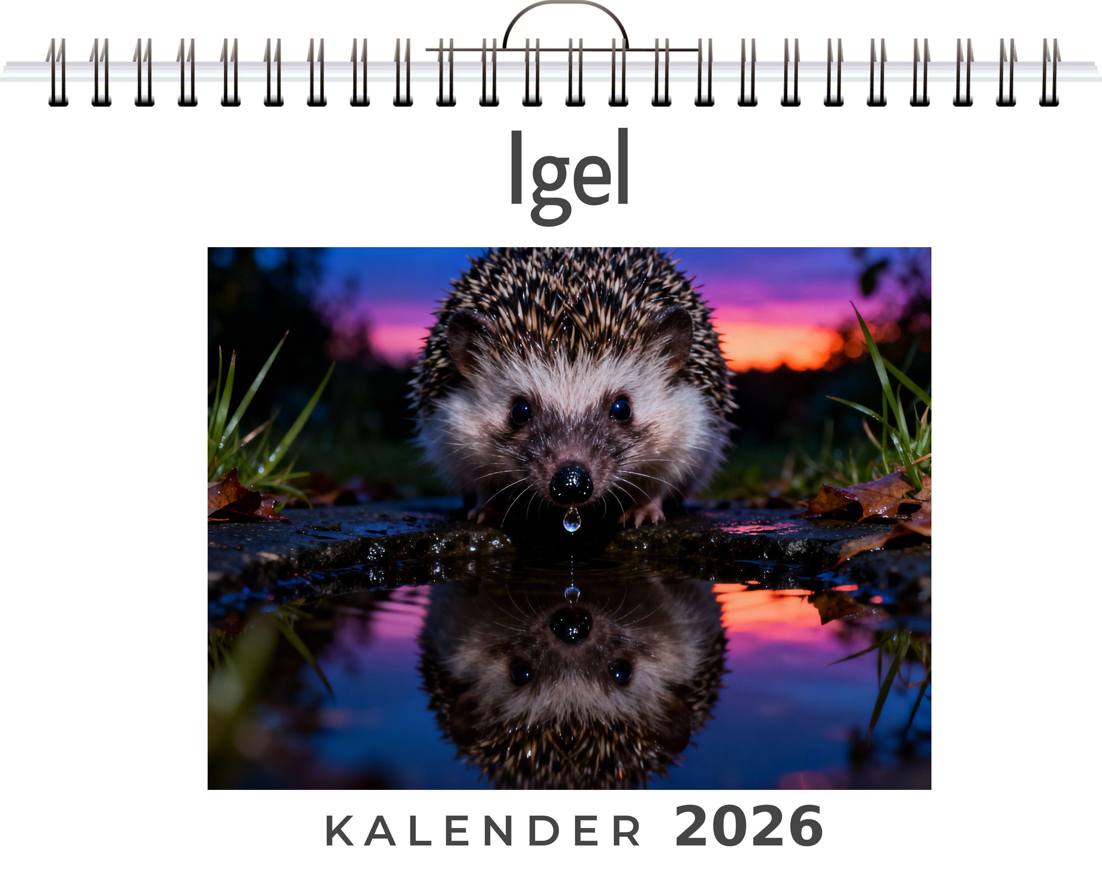 Vorderes Coverbild Igel