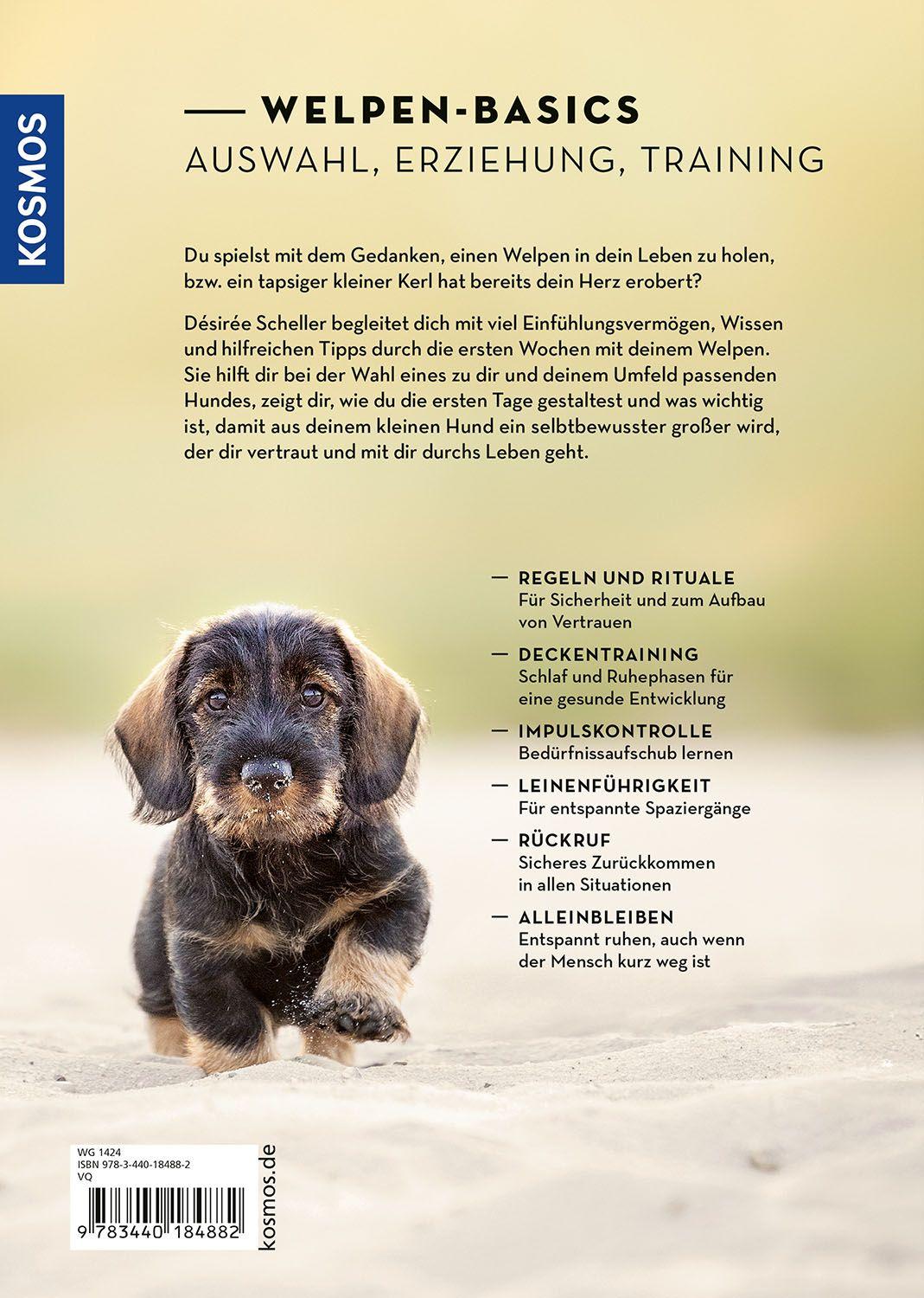 Beispielinhalt (Bild) Welpen erziehen mit Erfolg