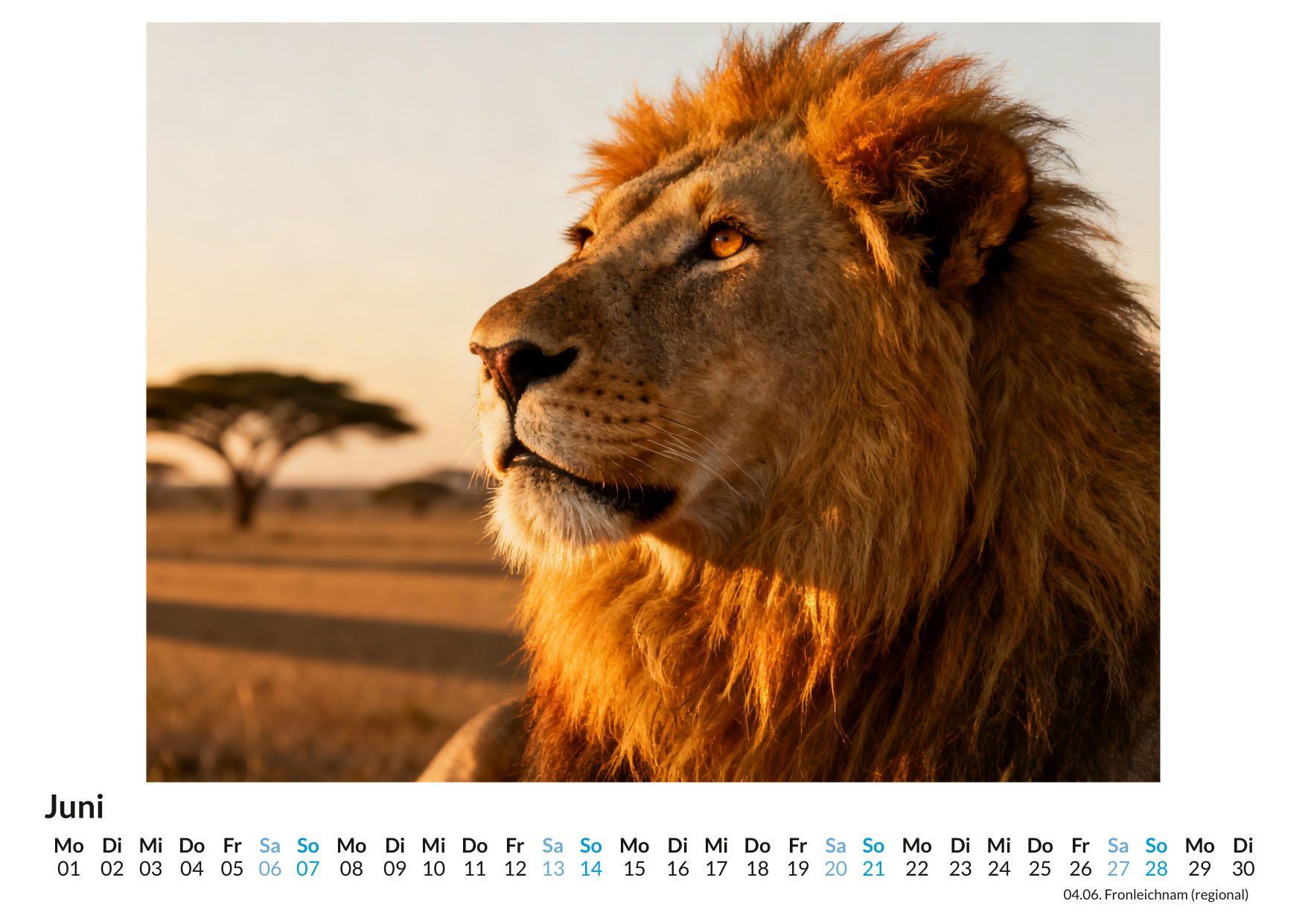 Beispielinhalt (Bild) Großkatzen & Raubtiere