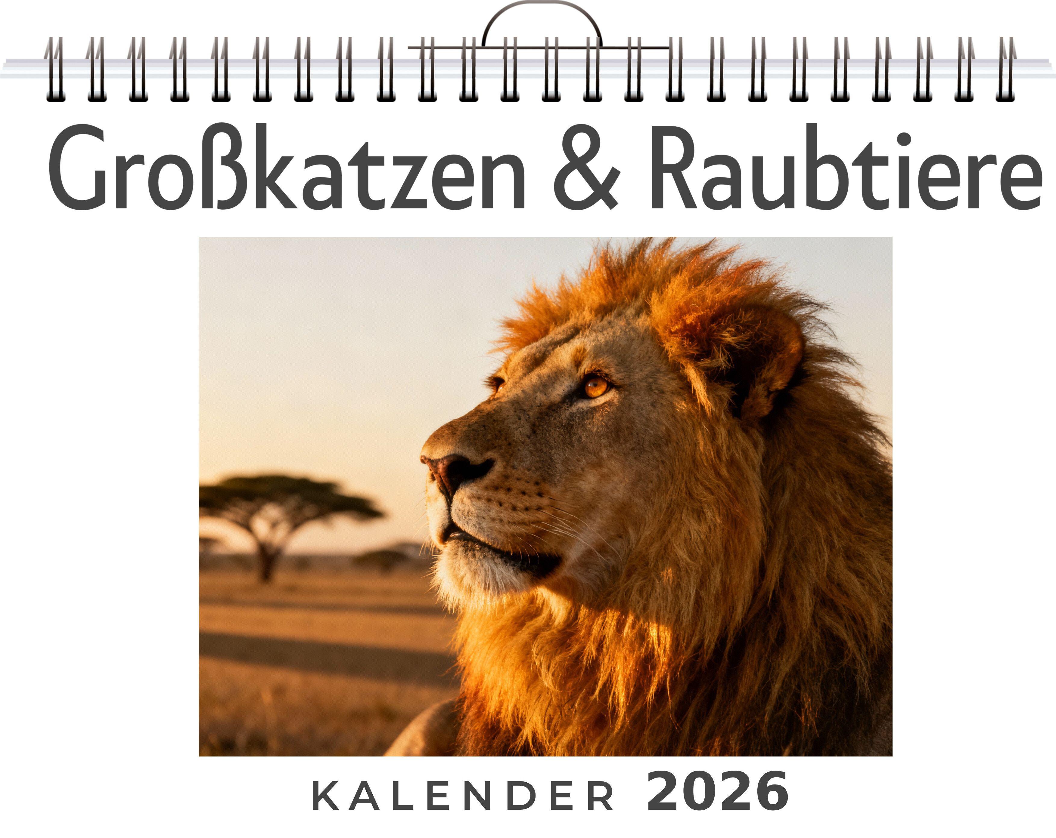 Vorderes Coverbild Großkatzen & Raubtiere