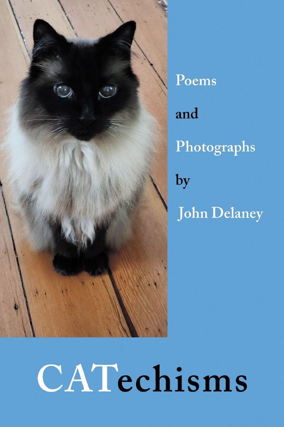 Vorderes Coverbild CATechisms