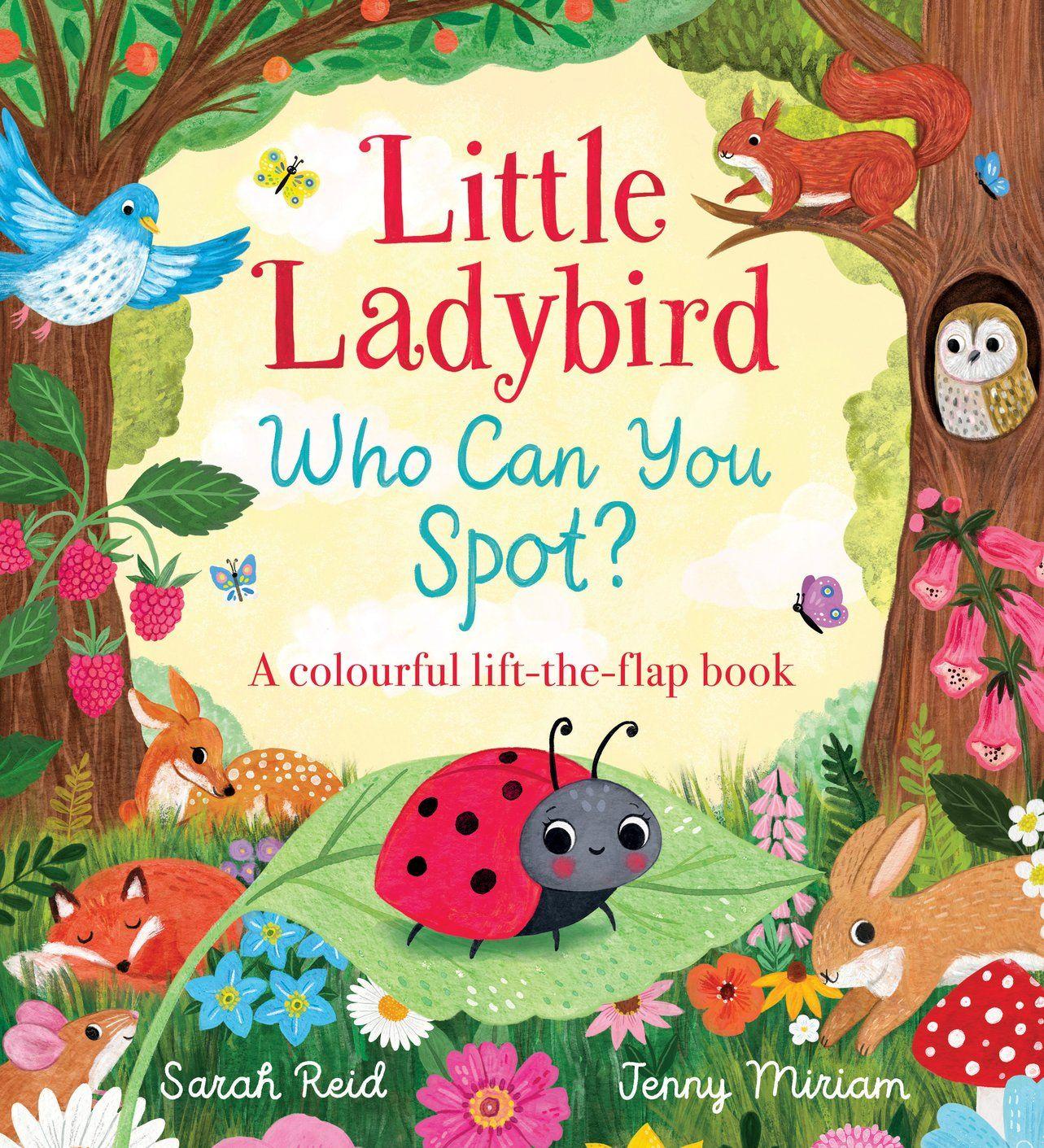 Vorderes Coverbild Little Ladybird, Who Can You Spot? (HB)