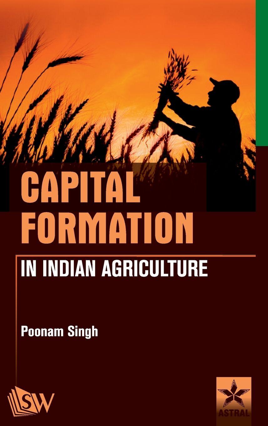 Vorderes Coverbild Capital Formation in Indian Agriculture