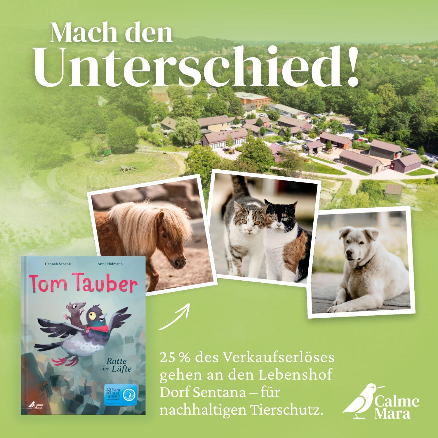 Beispielinhalt (Bild) Tom Tauber - Ratte der Lüfte
