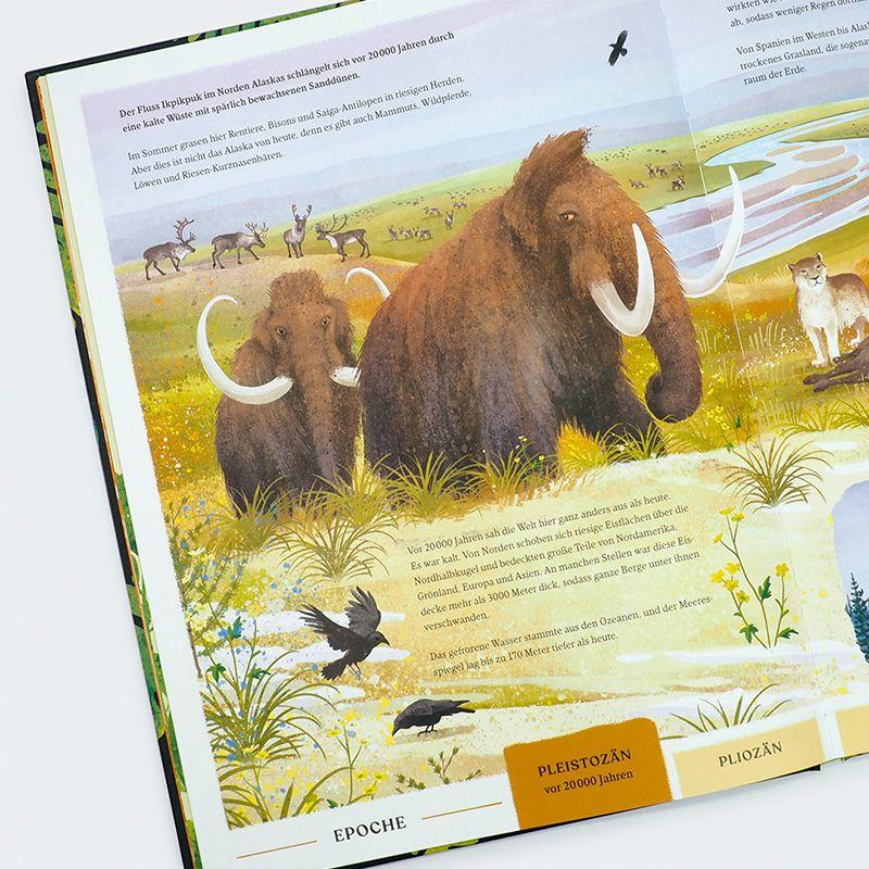 Beispielinhalt (Bild) Urwelten. Eine illustrierte Entdeckungsreise durch die Erdgeschichte