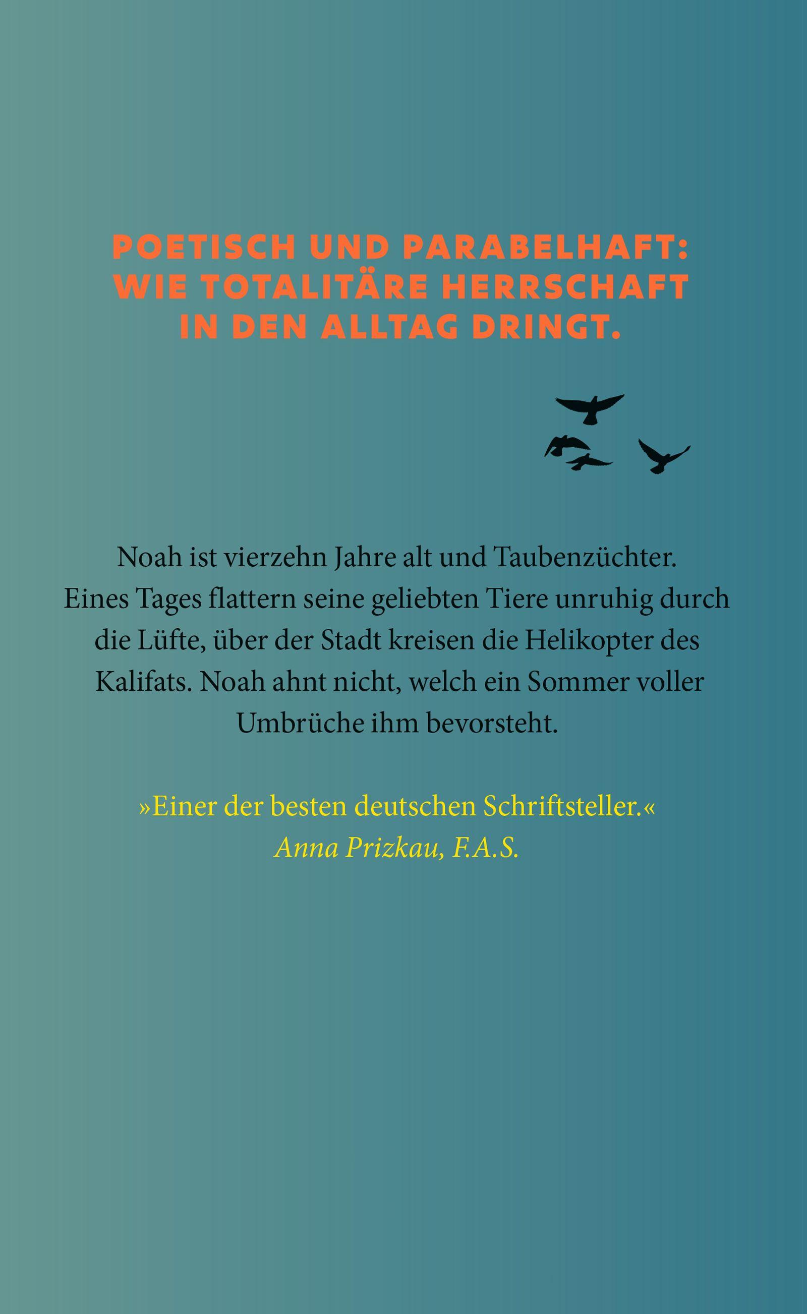 Beispielinhalt (Bild) Der letzte Sommer der Tauben