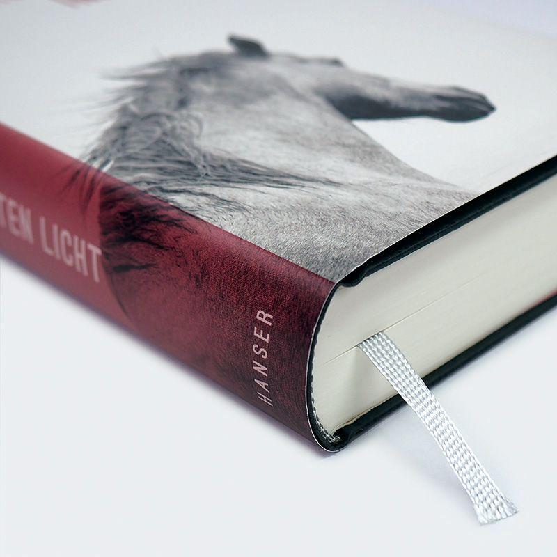 Beispielinhalt (Bild) Im ersten Licht