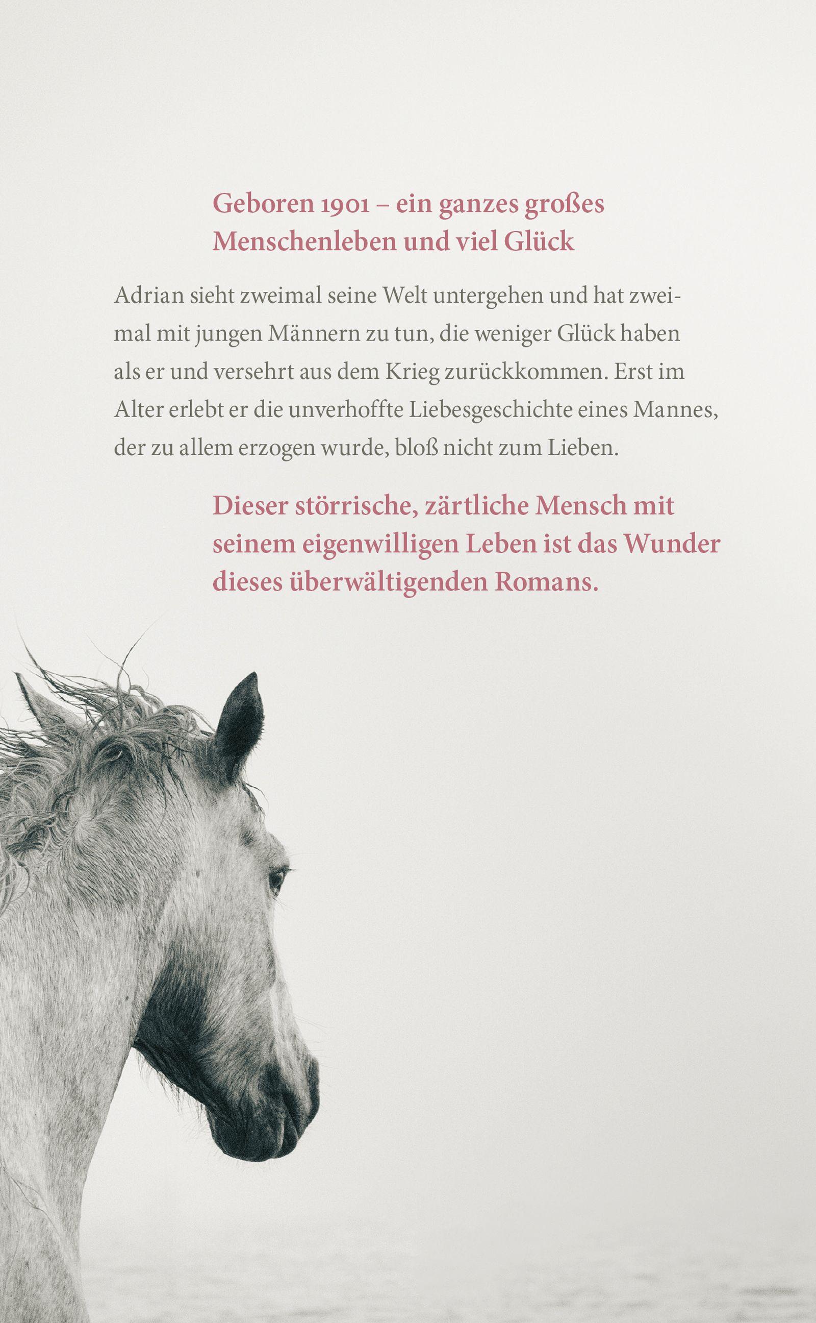 Beispielinhalt (Bild) Im ersten Licht