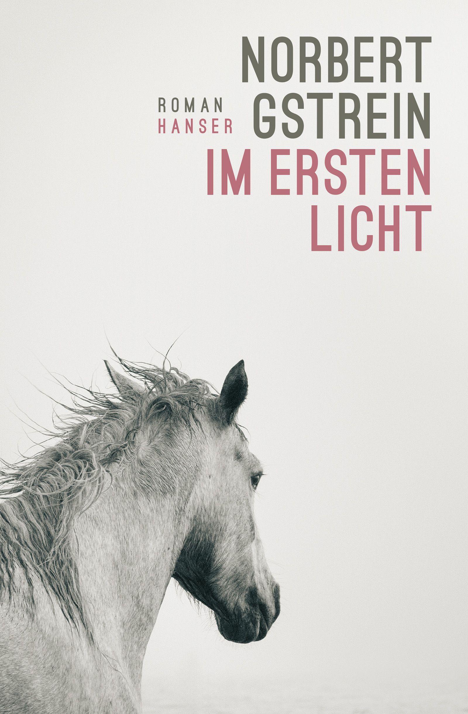 Vorderes Coverbild Im ersten Licht