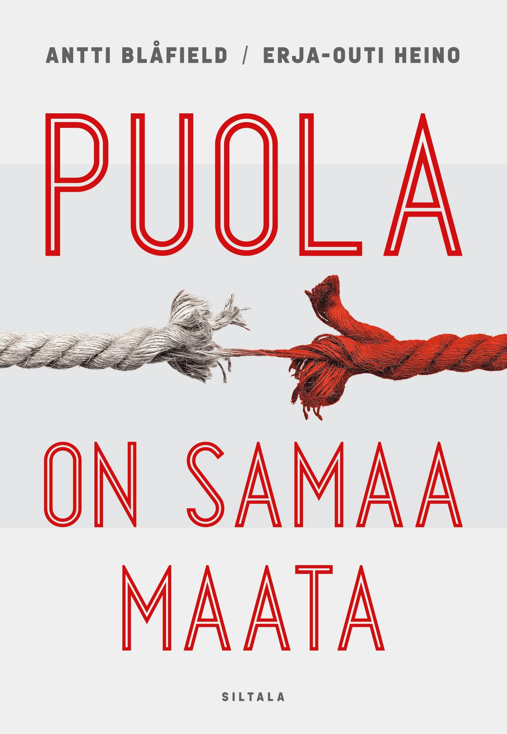 Vorderes Coverbild Puola on samaa maata