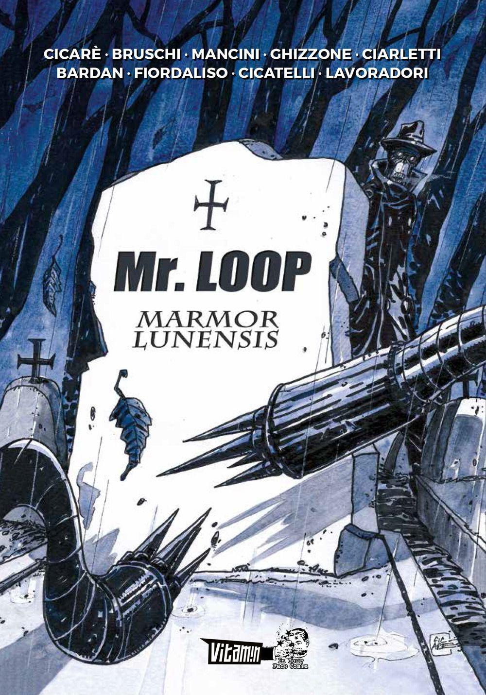 Vorderes Coverbild Mr. Loop Marmor. Lunensis