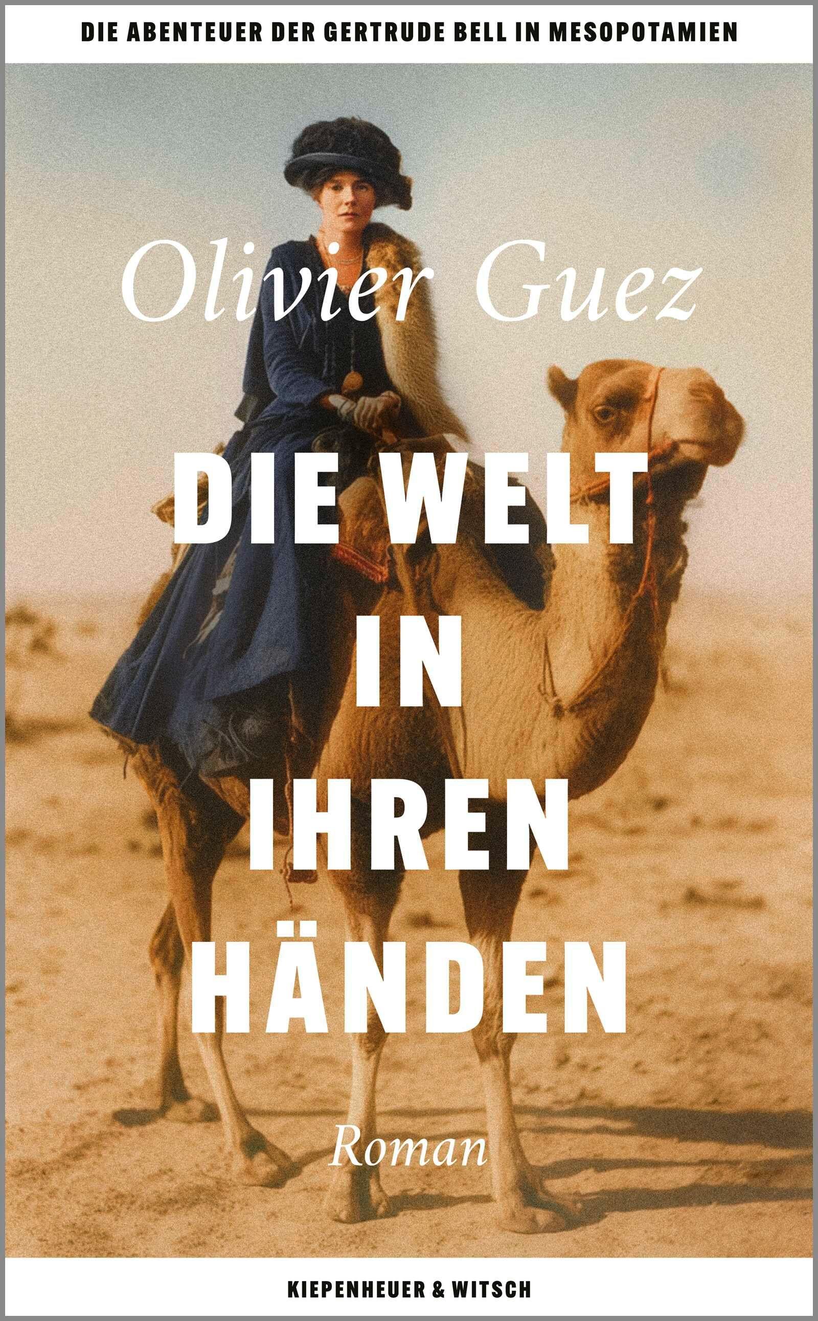 Vorderes Coverbild Die Welt in ihren Händen