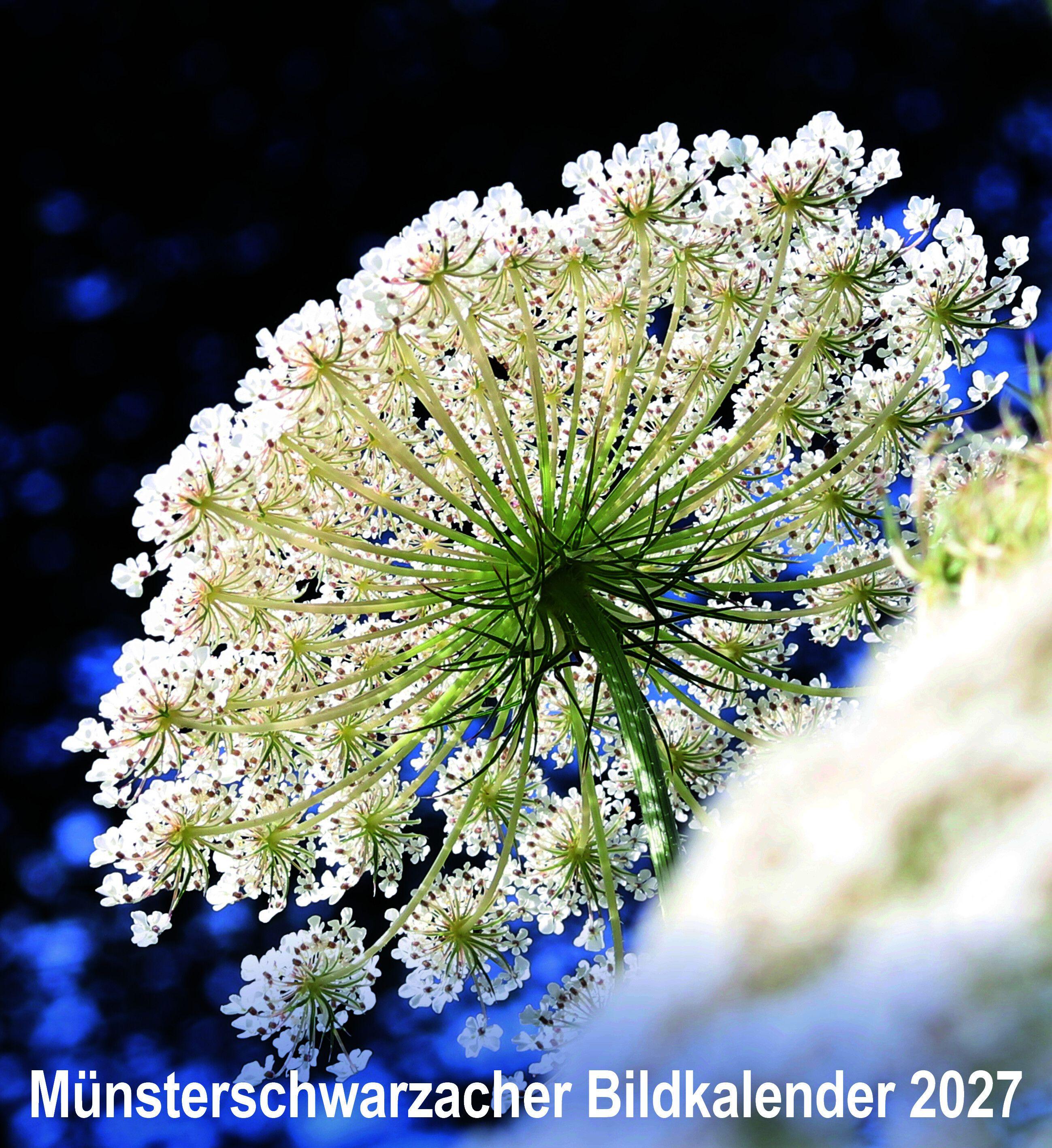 Vorderes Coverbild Münsterschwarzacher Bildkalender 2027