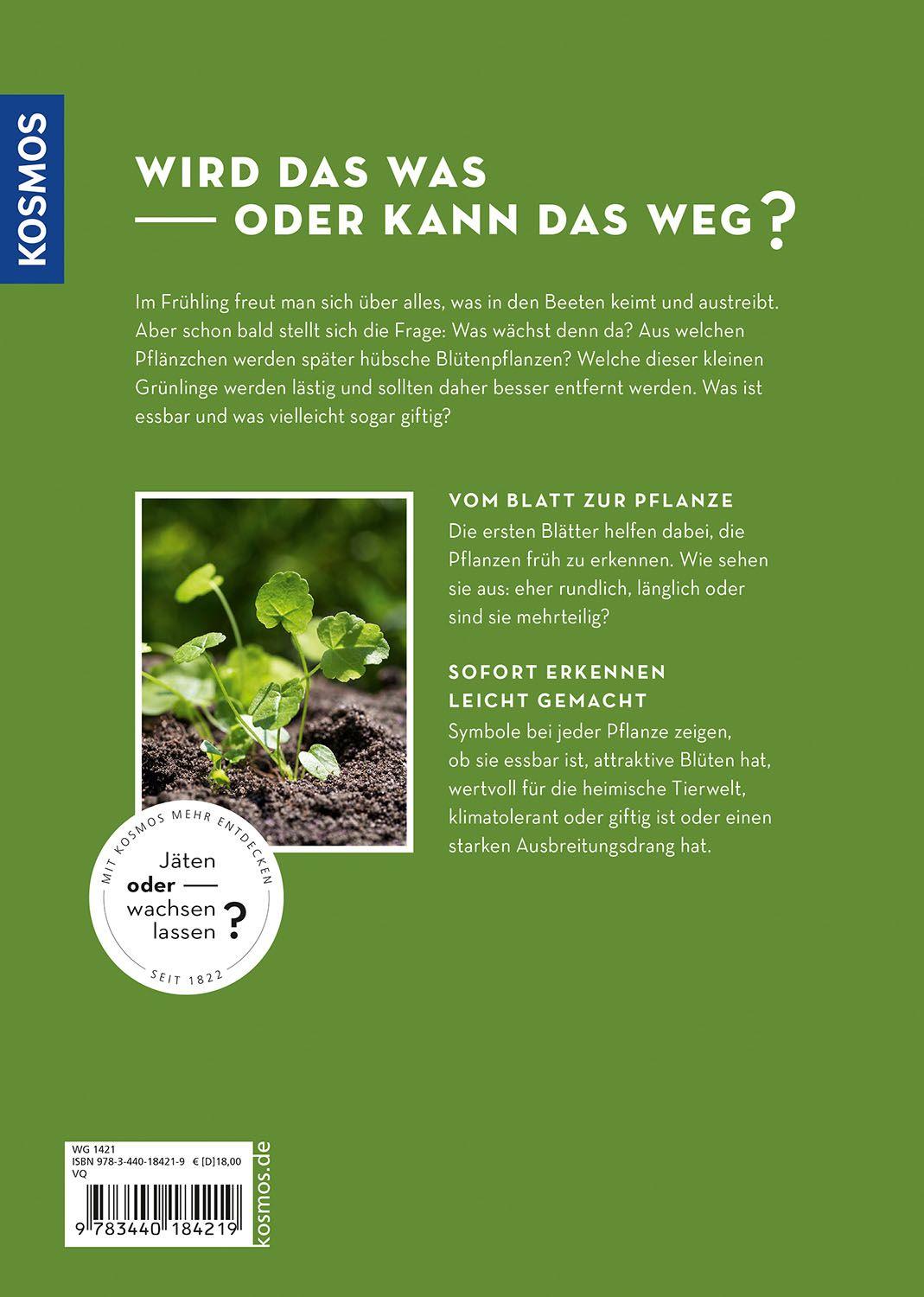 Beispielinhalt (Bild) Wird das was oder kann das weg?