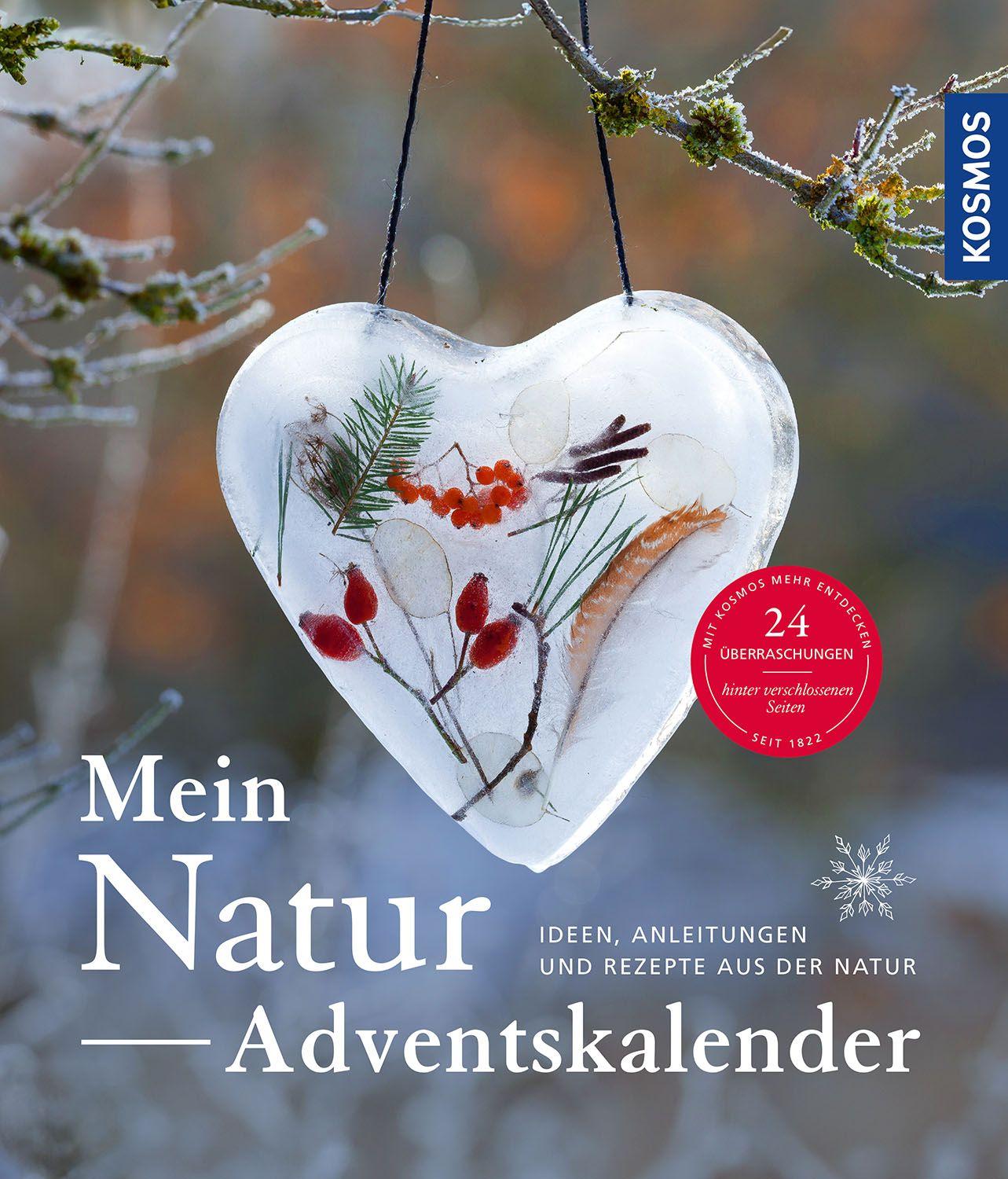 Vorderes Coverbild Natur-Adventskalender