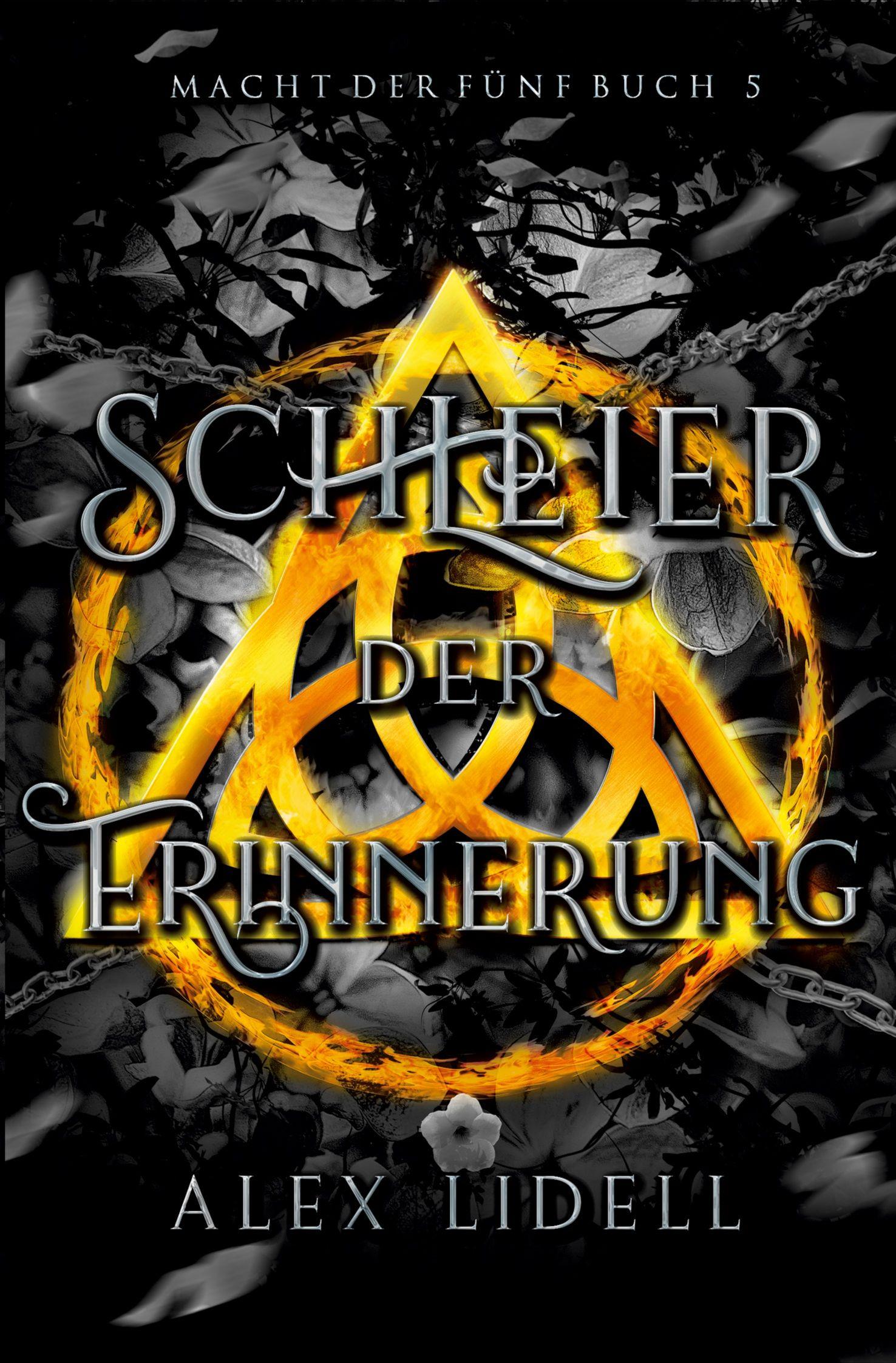 Vorderes Coverbild Schleier der Erinnerung Macht der Fünf Buch 5