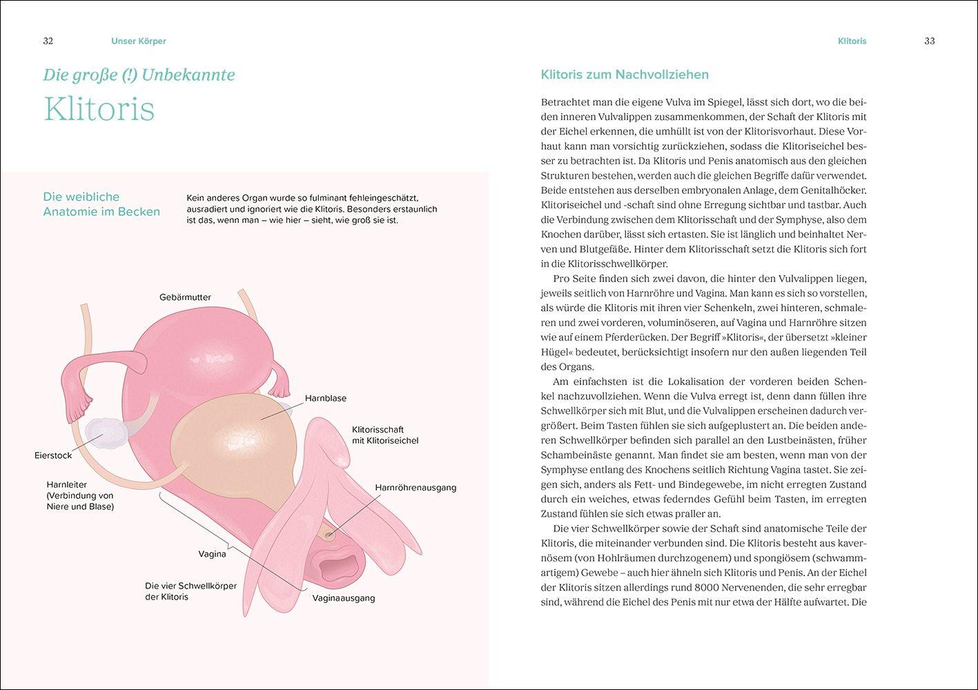 Beispielinhalt (Bild) Das große Gynbuch