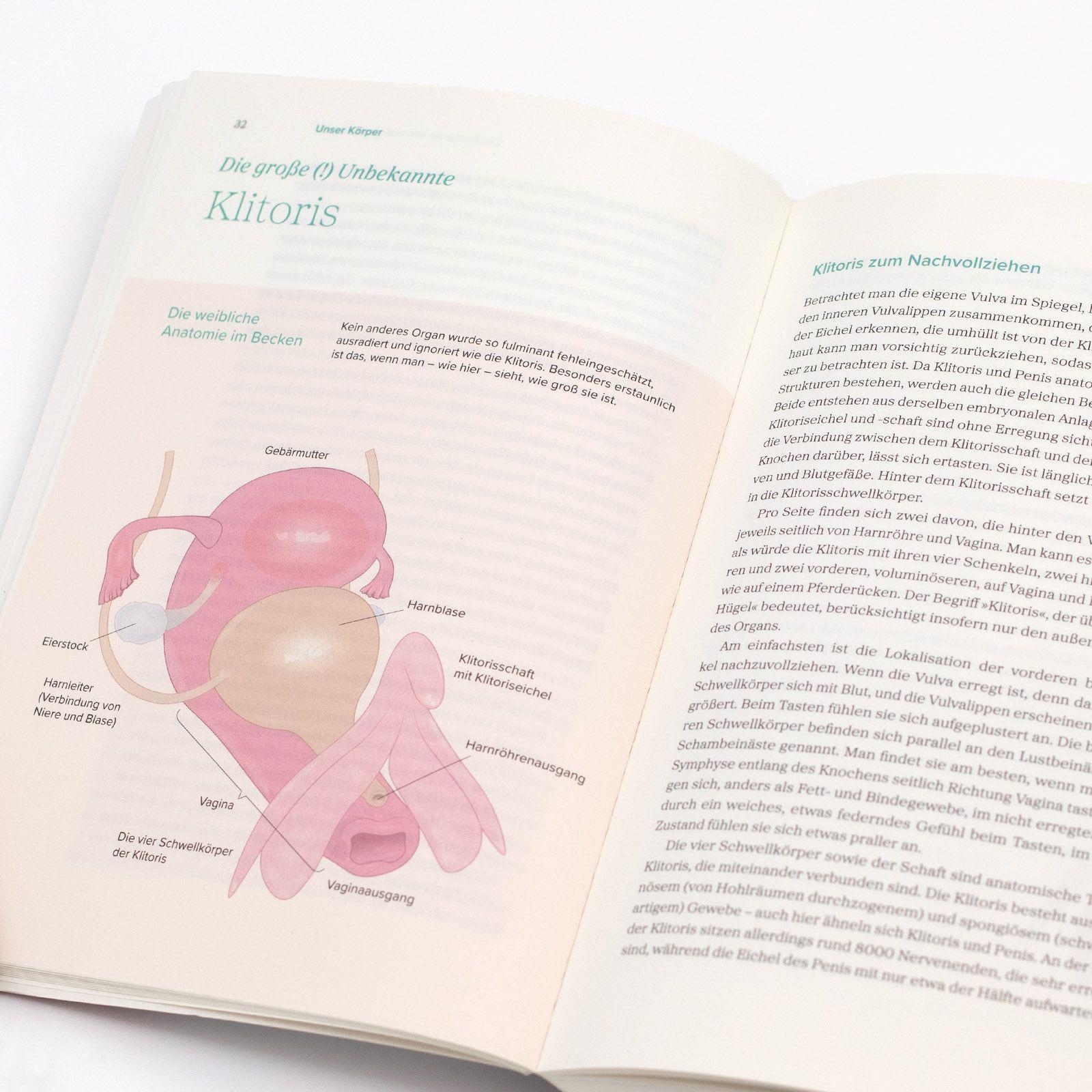 Beispielinhalt (Bild) Das große Gynbuch