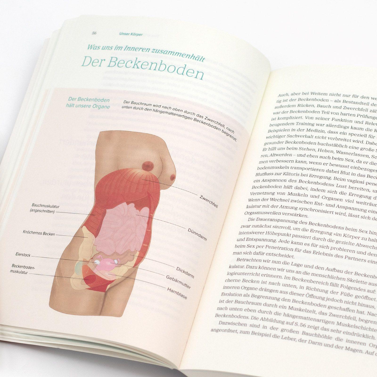 Beispielinhalt (Bild) Das große Gynbuch
