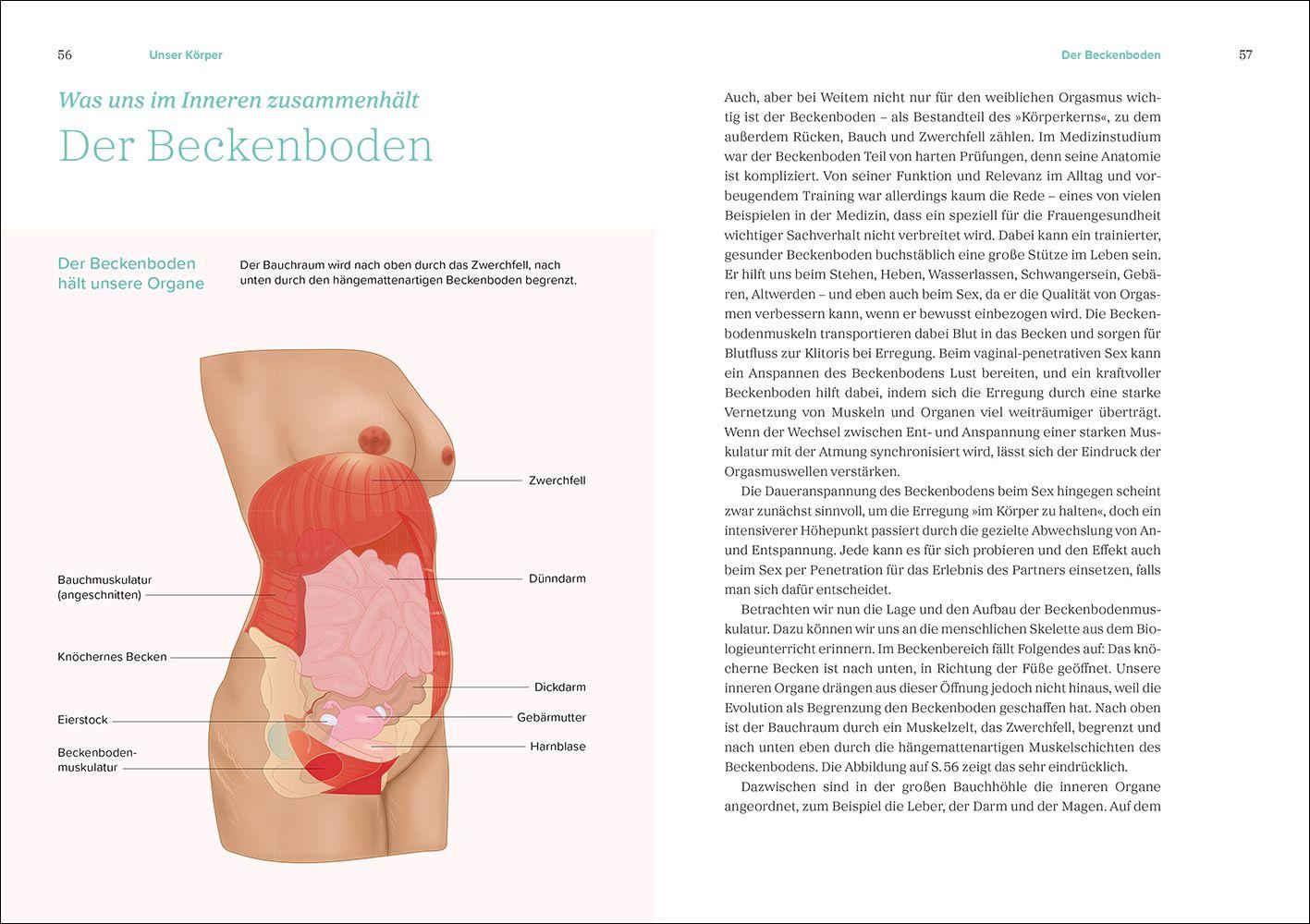 Beispielinhalt (Bild) Das große Gynbuch