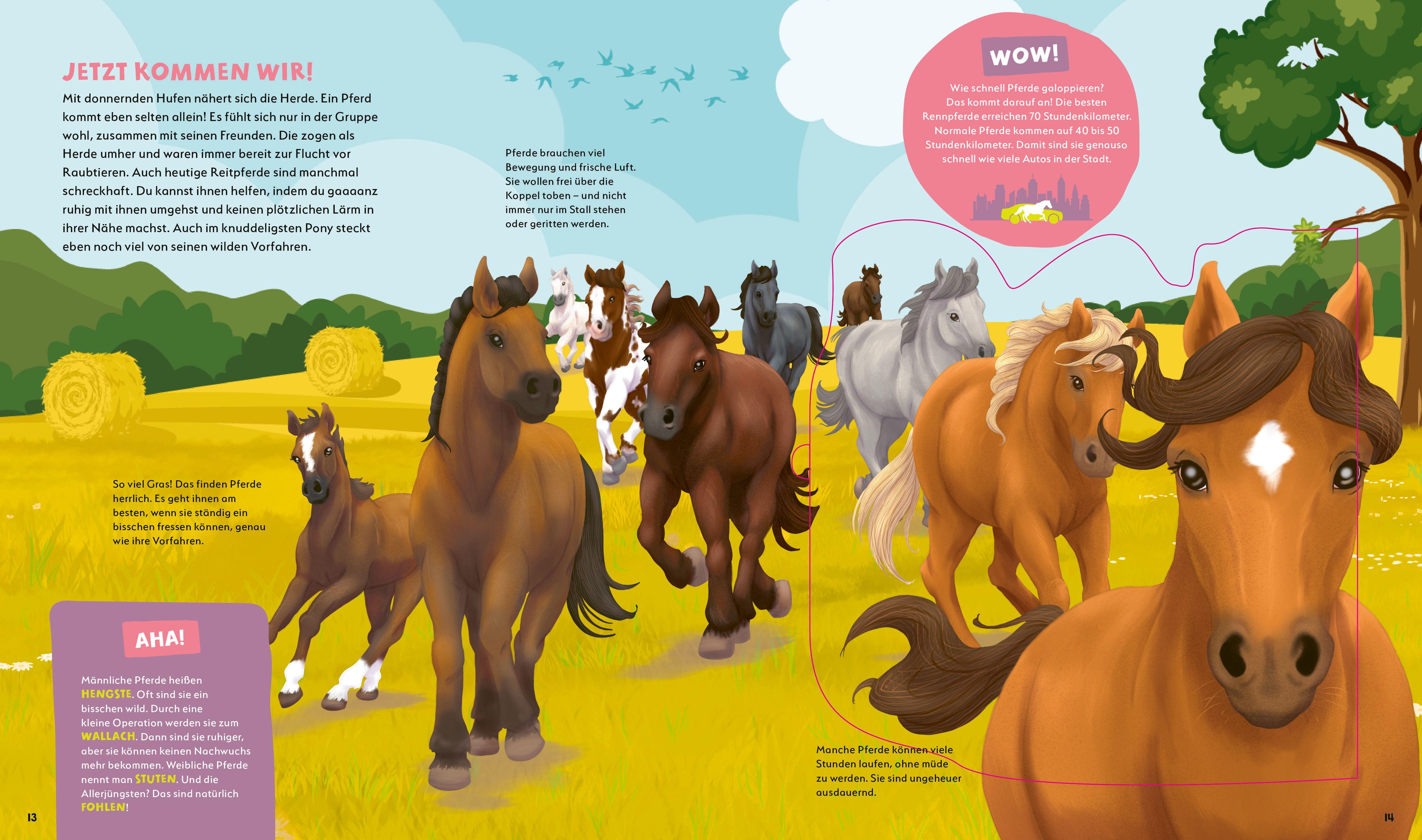 Beispielinhalt (Bild) WAS IST WAS Kids Pferde und Ponys. Wild, stark und einfach toll!