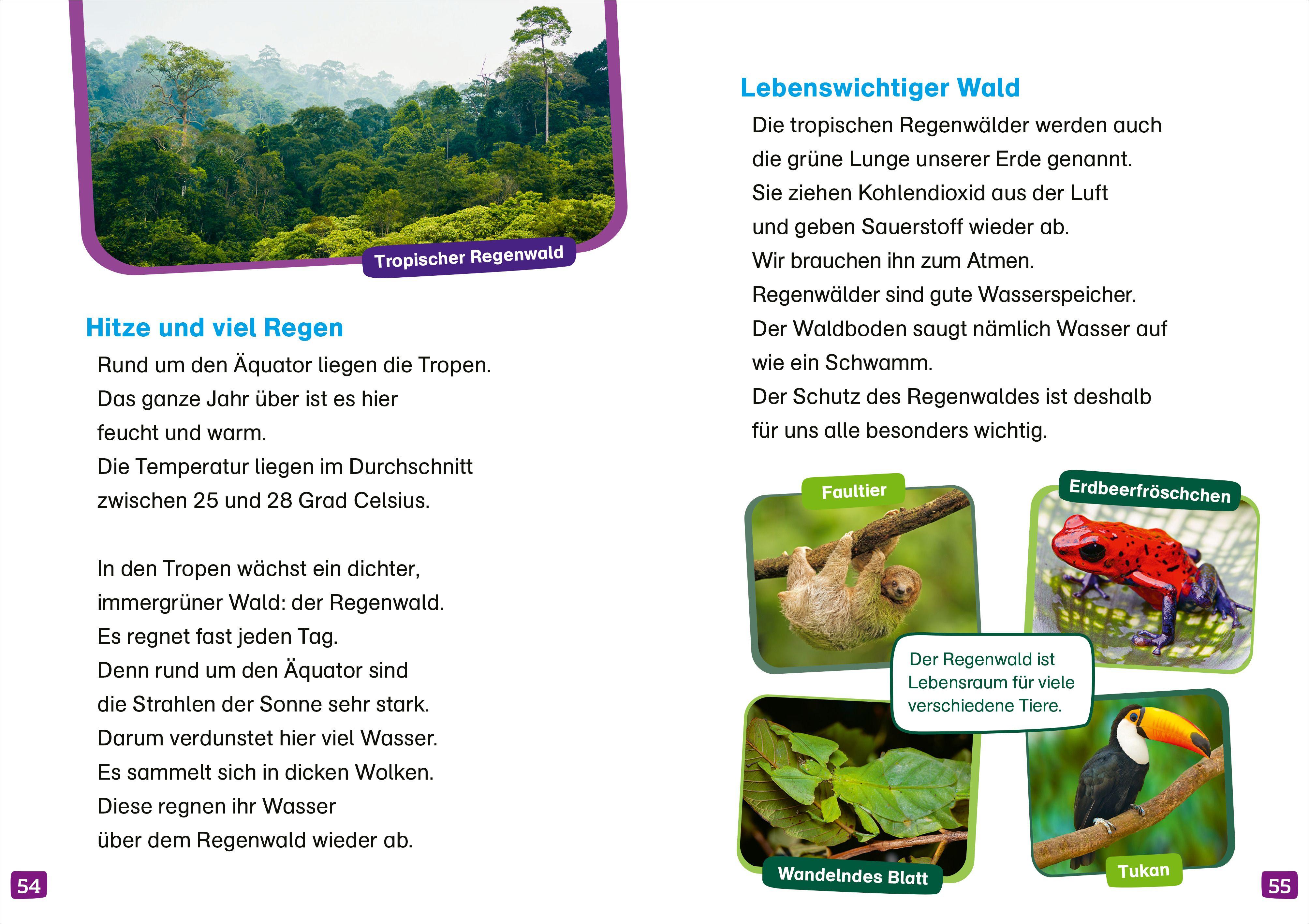 Beispielinhalt (Bild) WAS IST WAS Erstes Lesen. Unsere Erde