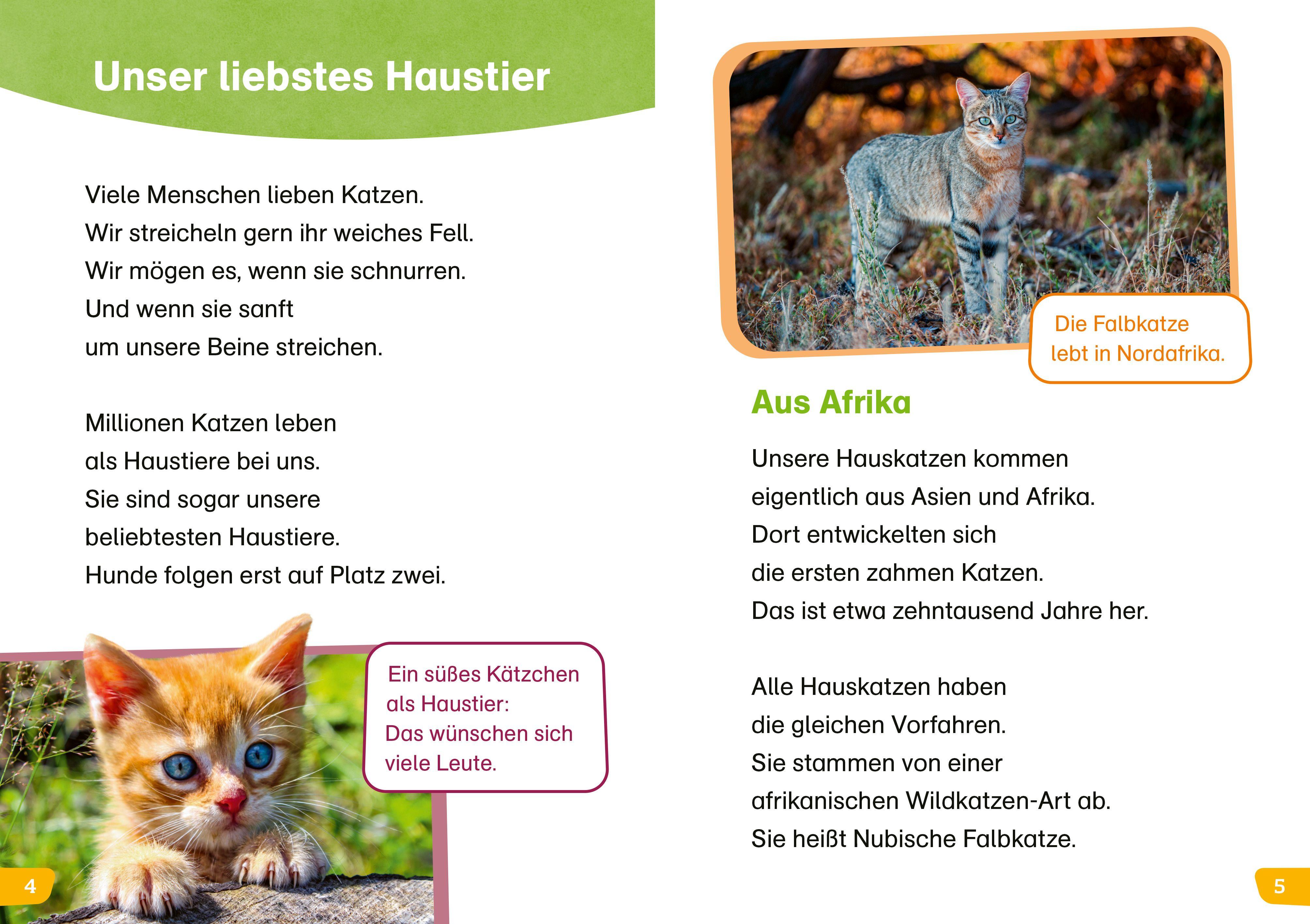 Beispielinhalt (Bild) WAS IST WAS Erstes Lesen easy! Katzen - meine Lieblingstiere