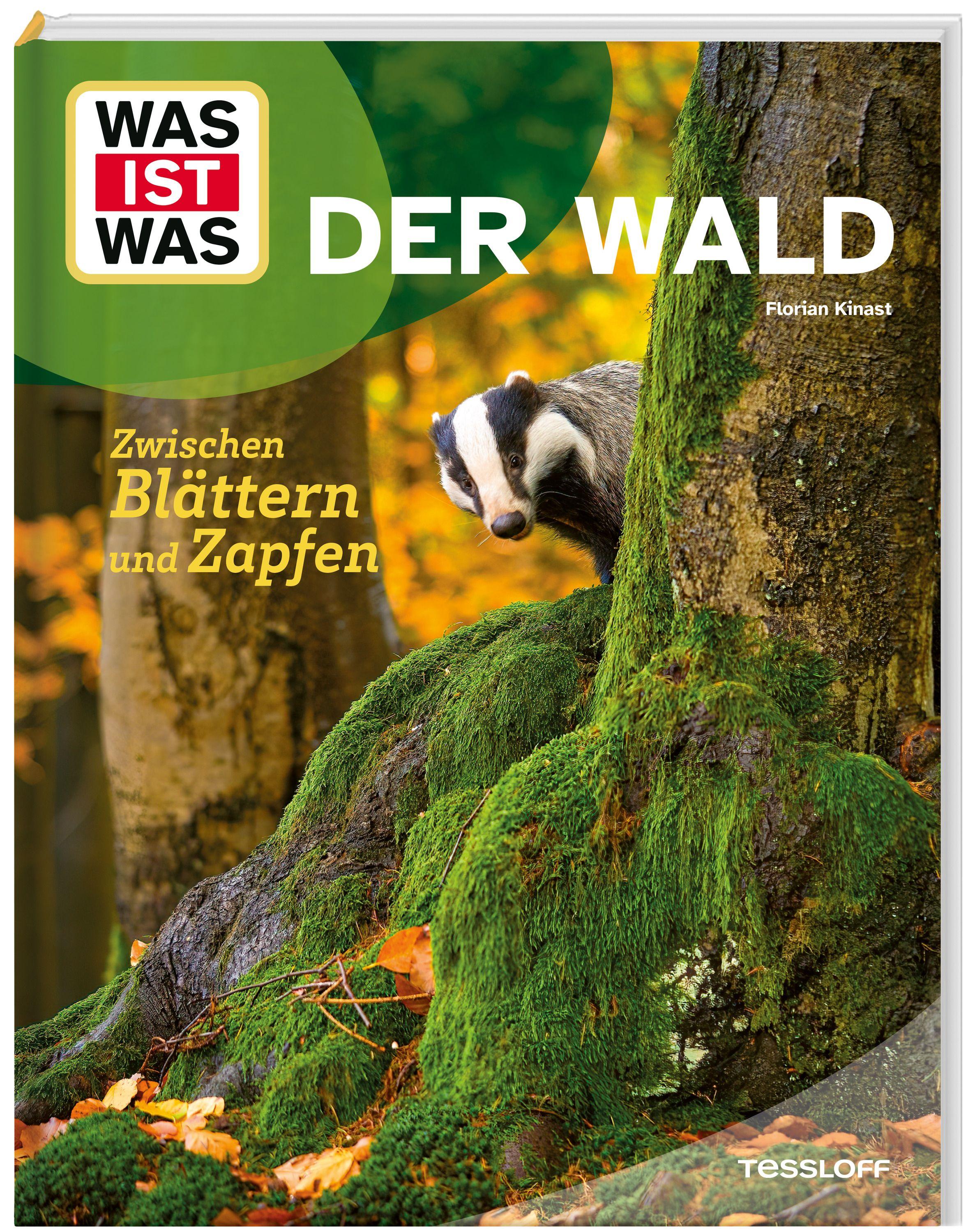 Vorderes Coverbild WAS IST WAS Der Wald. Zwischen Blättern und Zapfen
