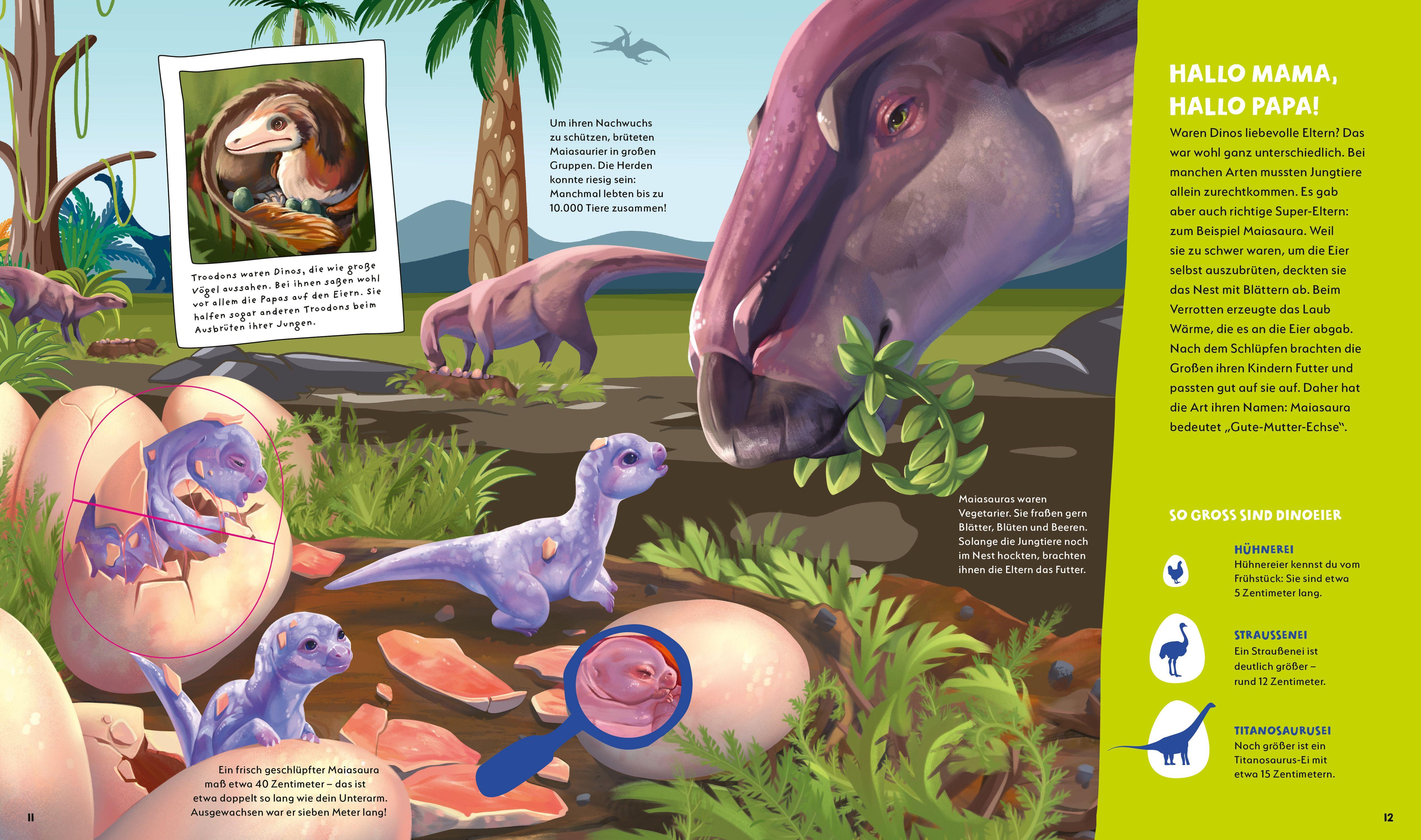 Beispielinhalt (Bild) WAS IST WAS Kids Dinosaurier. Gefährlich, gigantisch, genial