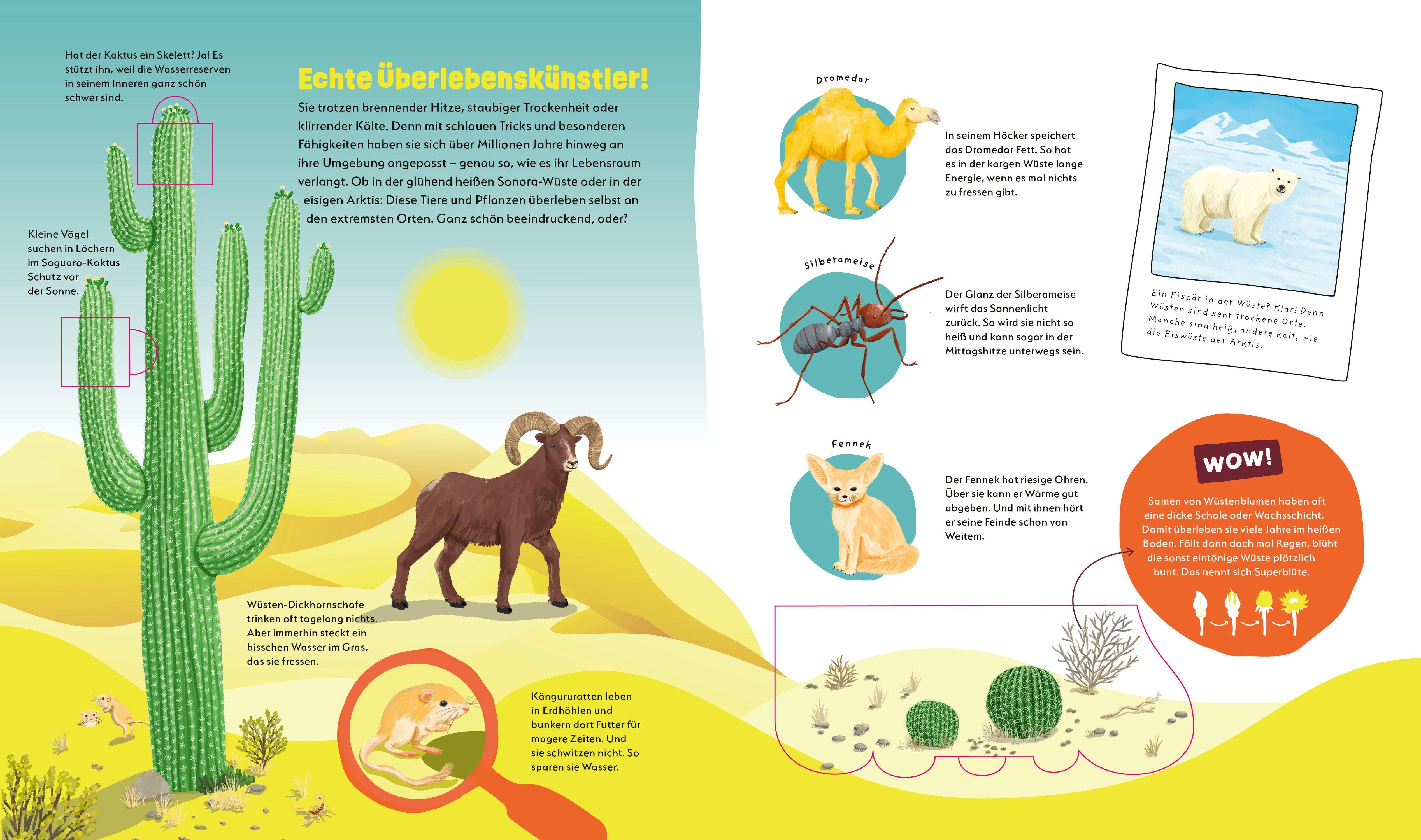 Beispielinhalt (Bild) WAS IST WAS Kids Unsere Erde. Ein Planet voller Leben - und du bist mittendrin!