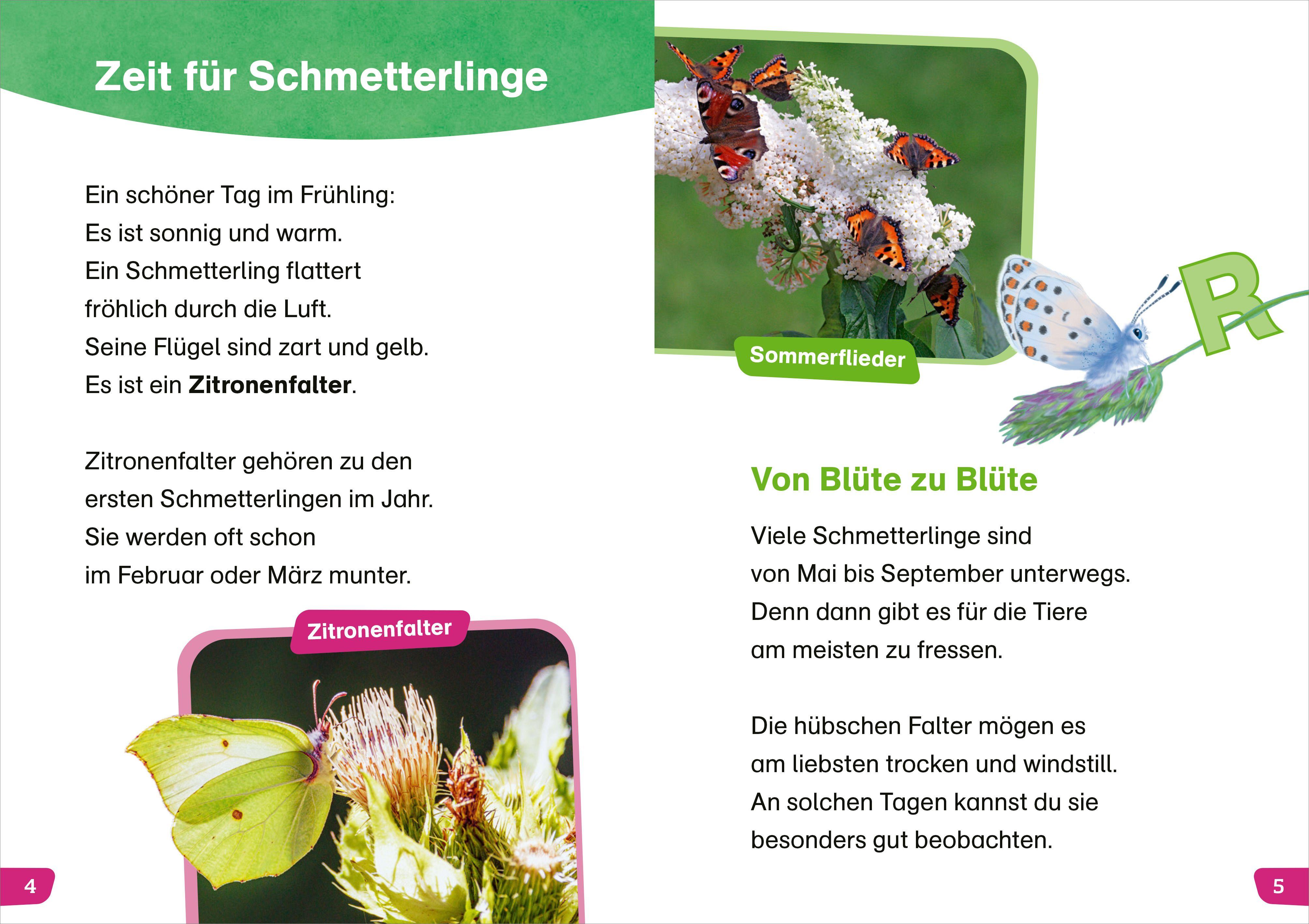 Beispielinhalt (Bild) WAS IST WAS Erstes Lesen easy! Unsere Schmetterlinge