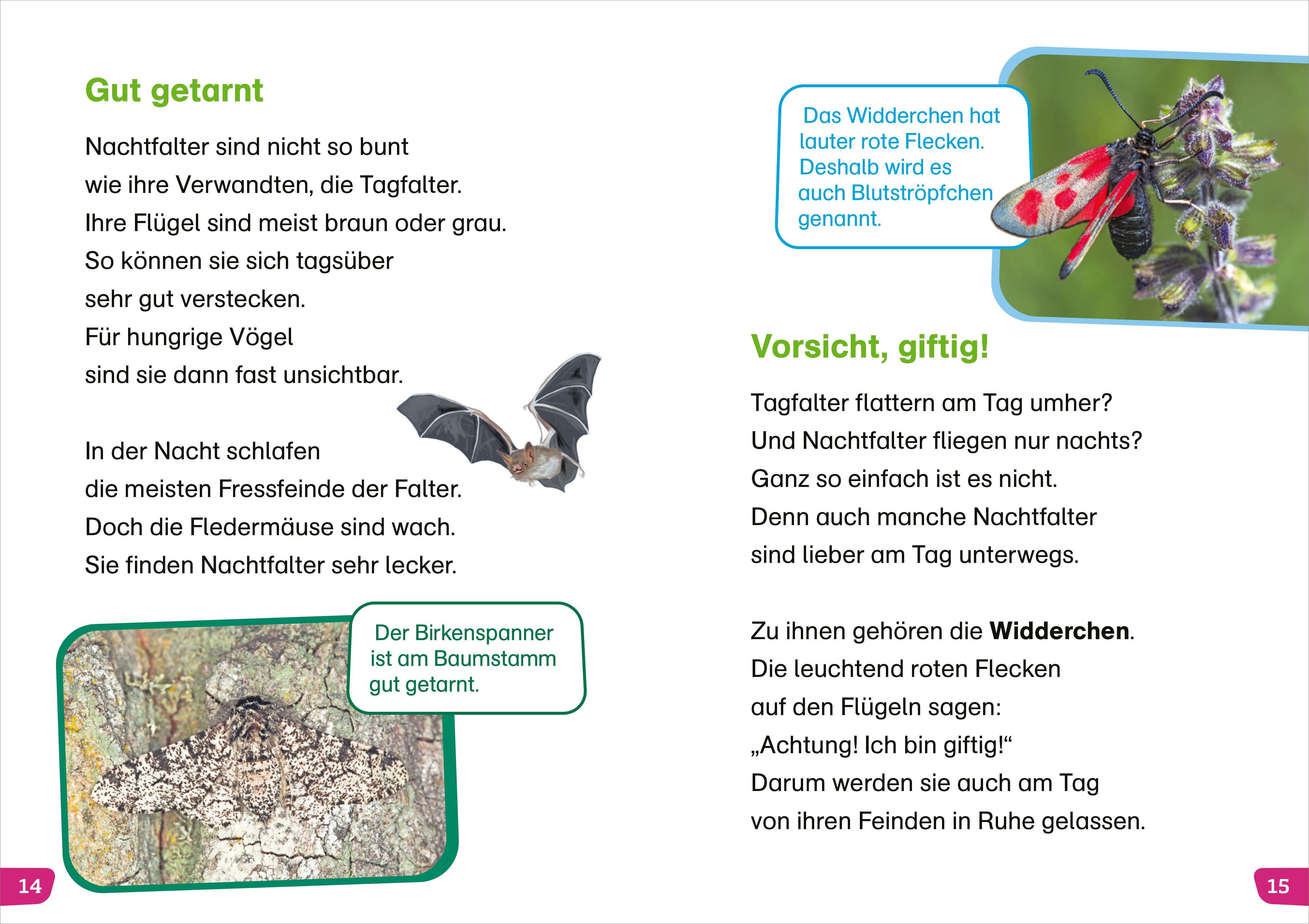 Beispielinhalt (Bild) WAS IST WAS Erstes Lesen easy! Unsere Schmetterlinge