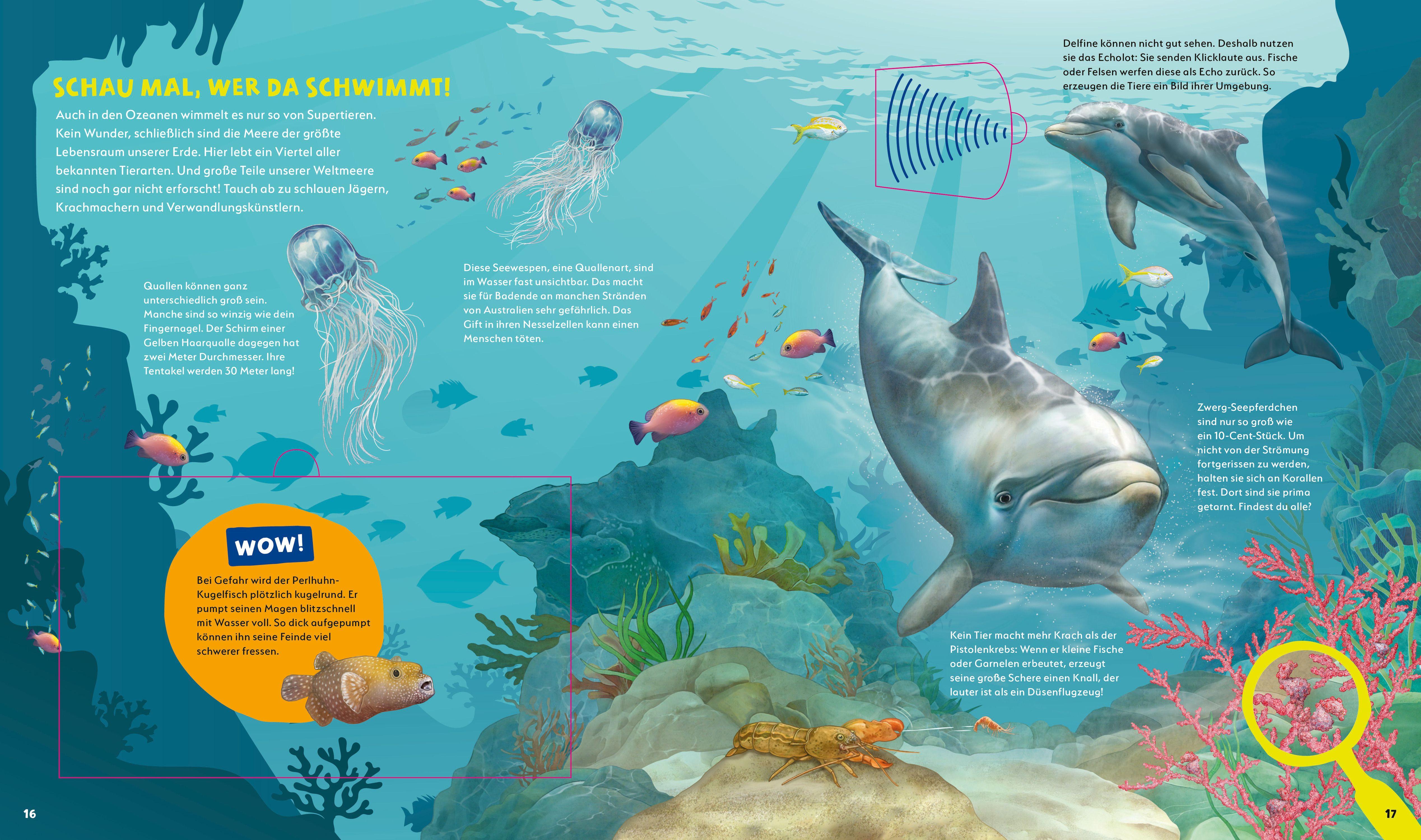 Beispielinhalt (Bild) WAS IST WAS Kids Supertiere. Rekordhalter an Land, in der Luft und im Wasser