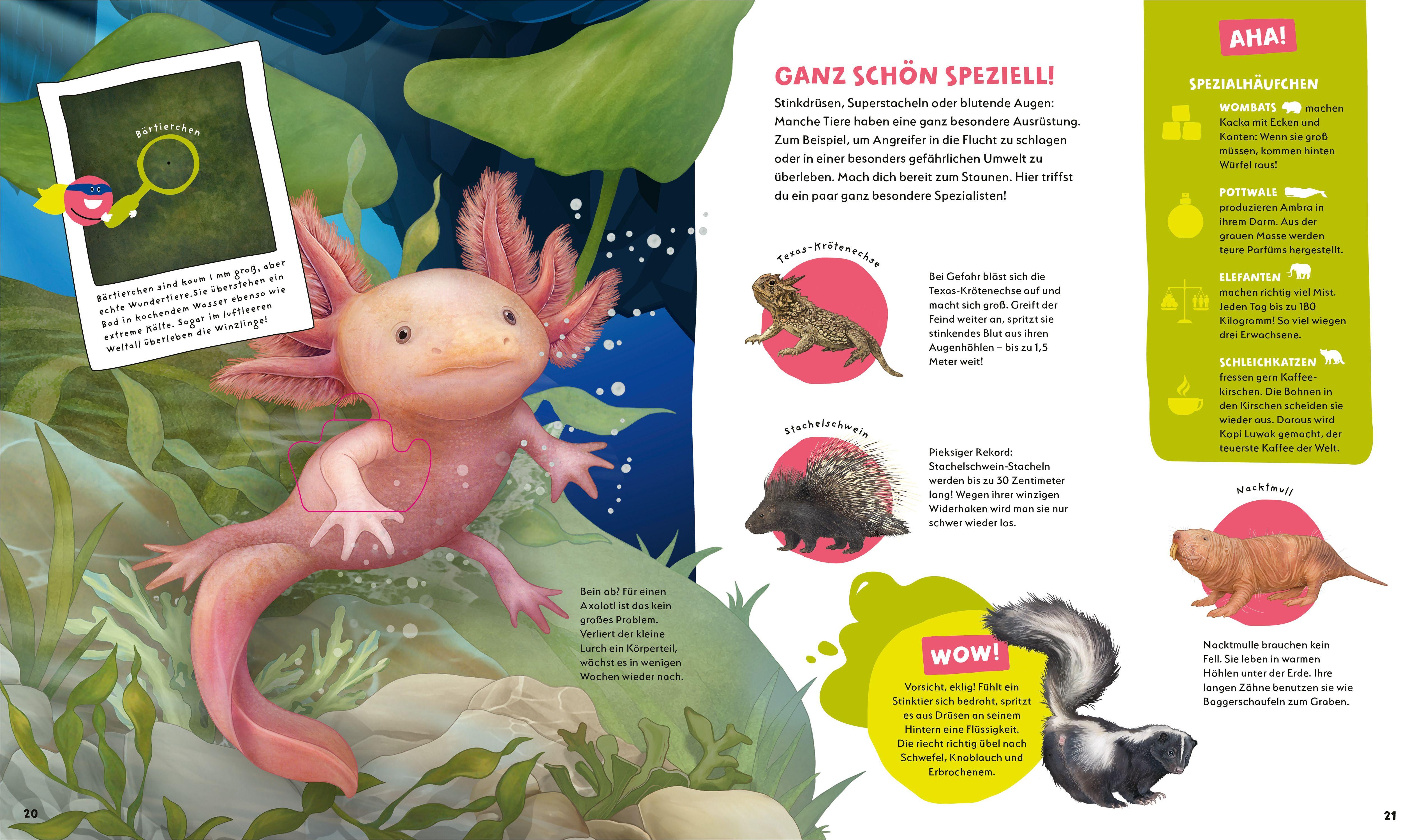 Beispielinhalt (Bild) WAS IST WAS Kids Supertiere. Rekordhalter an Land, in der Luft und im Wasser