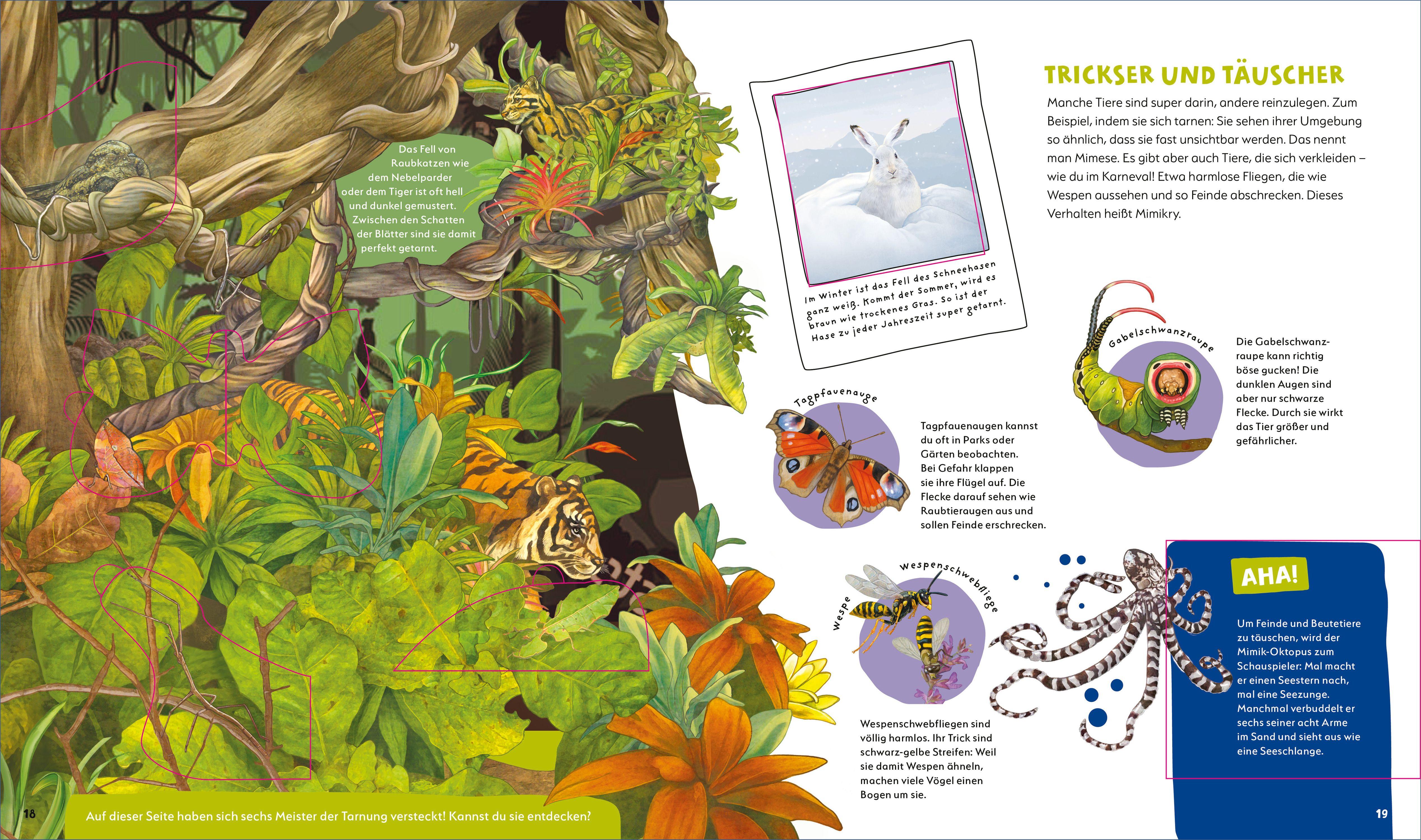 Beispielinhalt (Bild) WAS IST WAS Kids Supertiere. Rekordhalter an Land, in der Luft und im Wasser