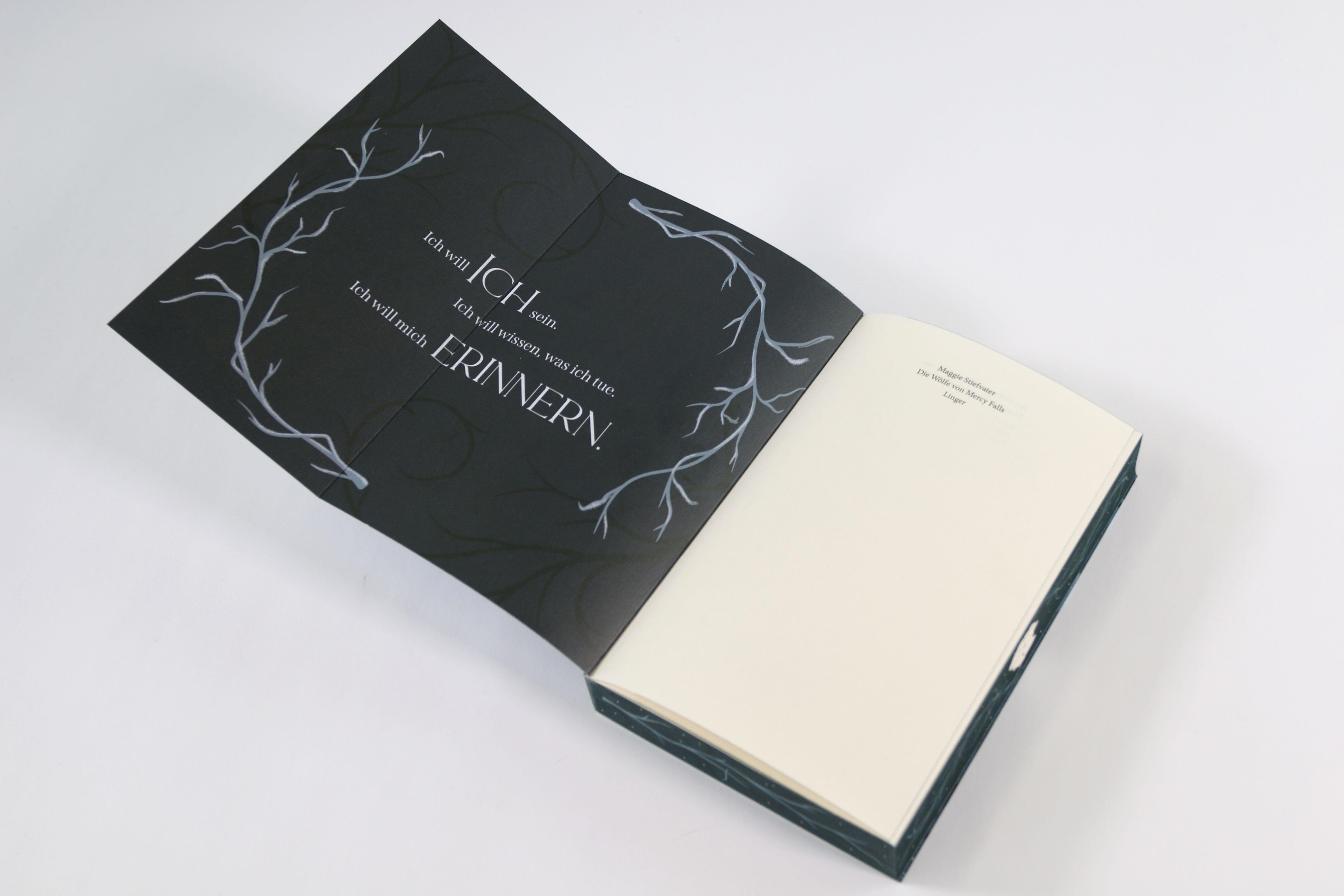 Beispielinhalt (Bild) Linger (Die Wölfe von Mercy Falls, Band 2)