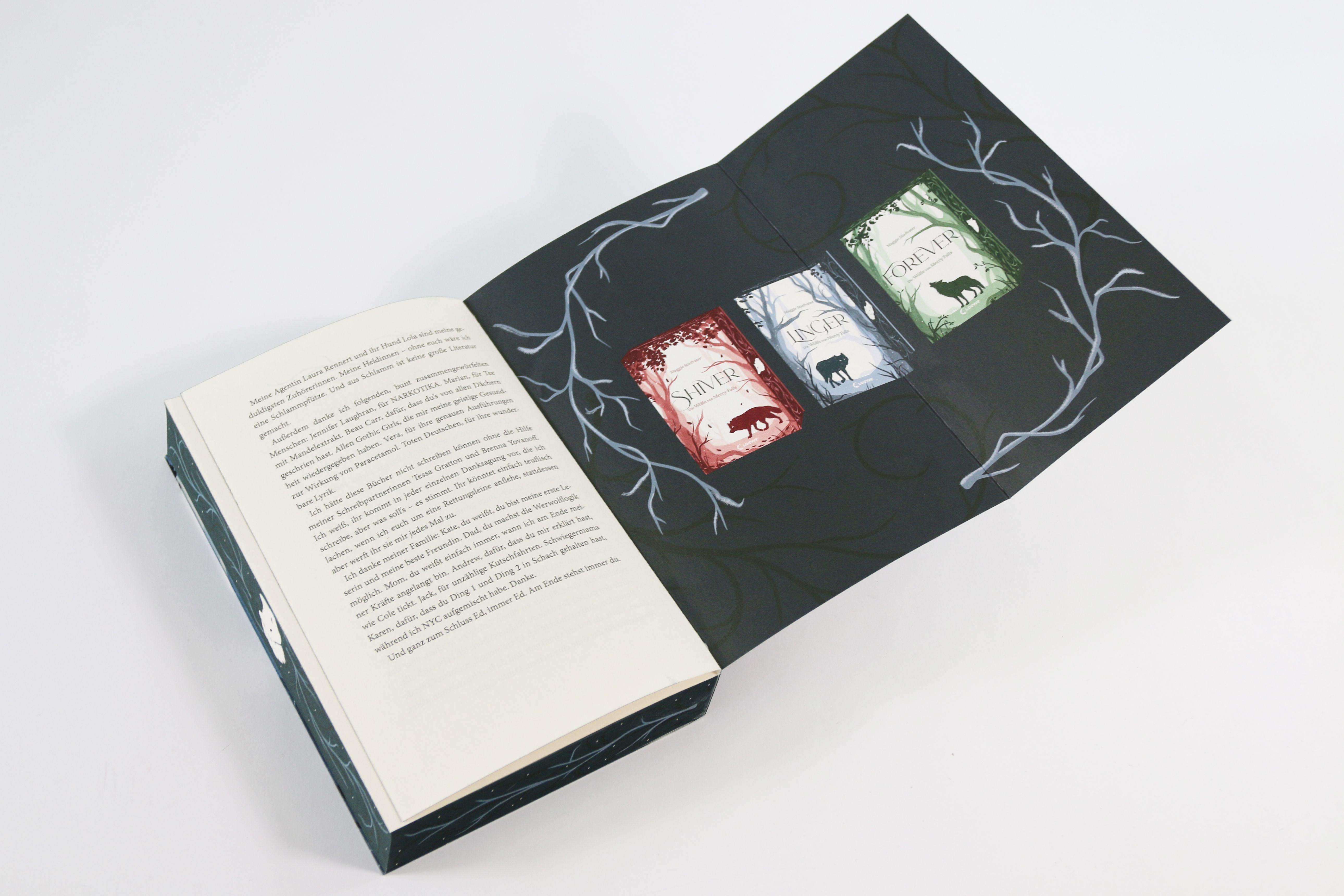 Beispielinhalt (Bild) Linger (Die Wölfe von Mercy Falls, Band 2)