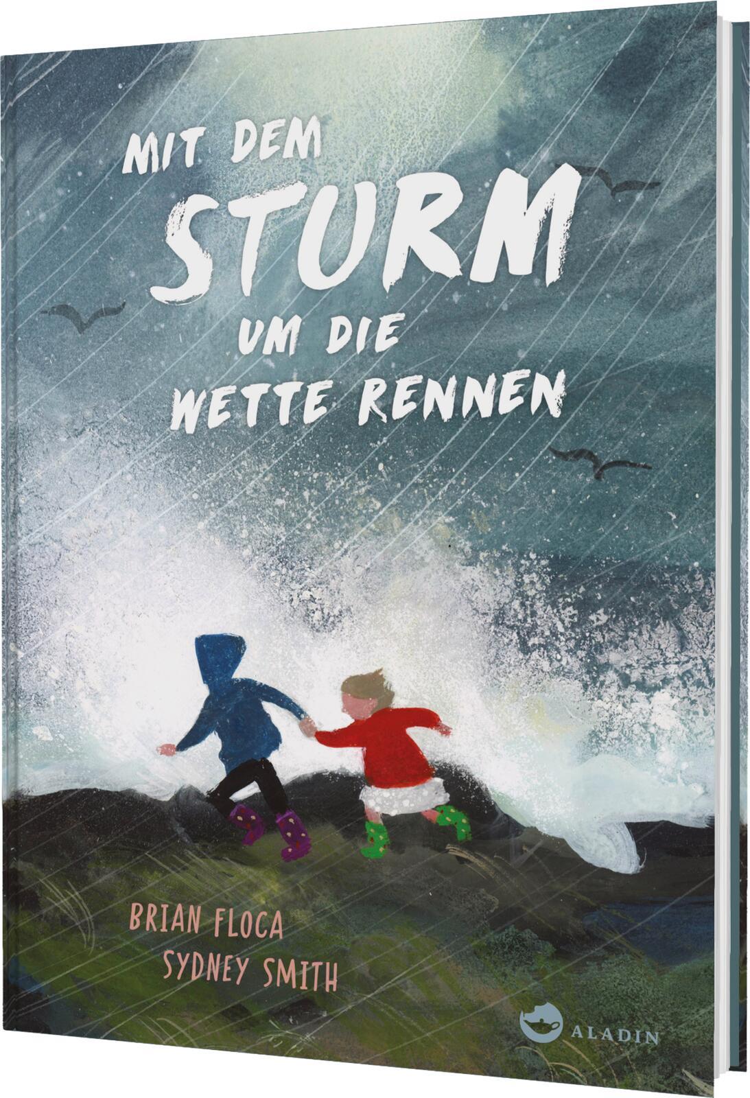 Vorderes Coverbild Mit dem Sturm um die Wette rennen
