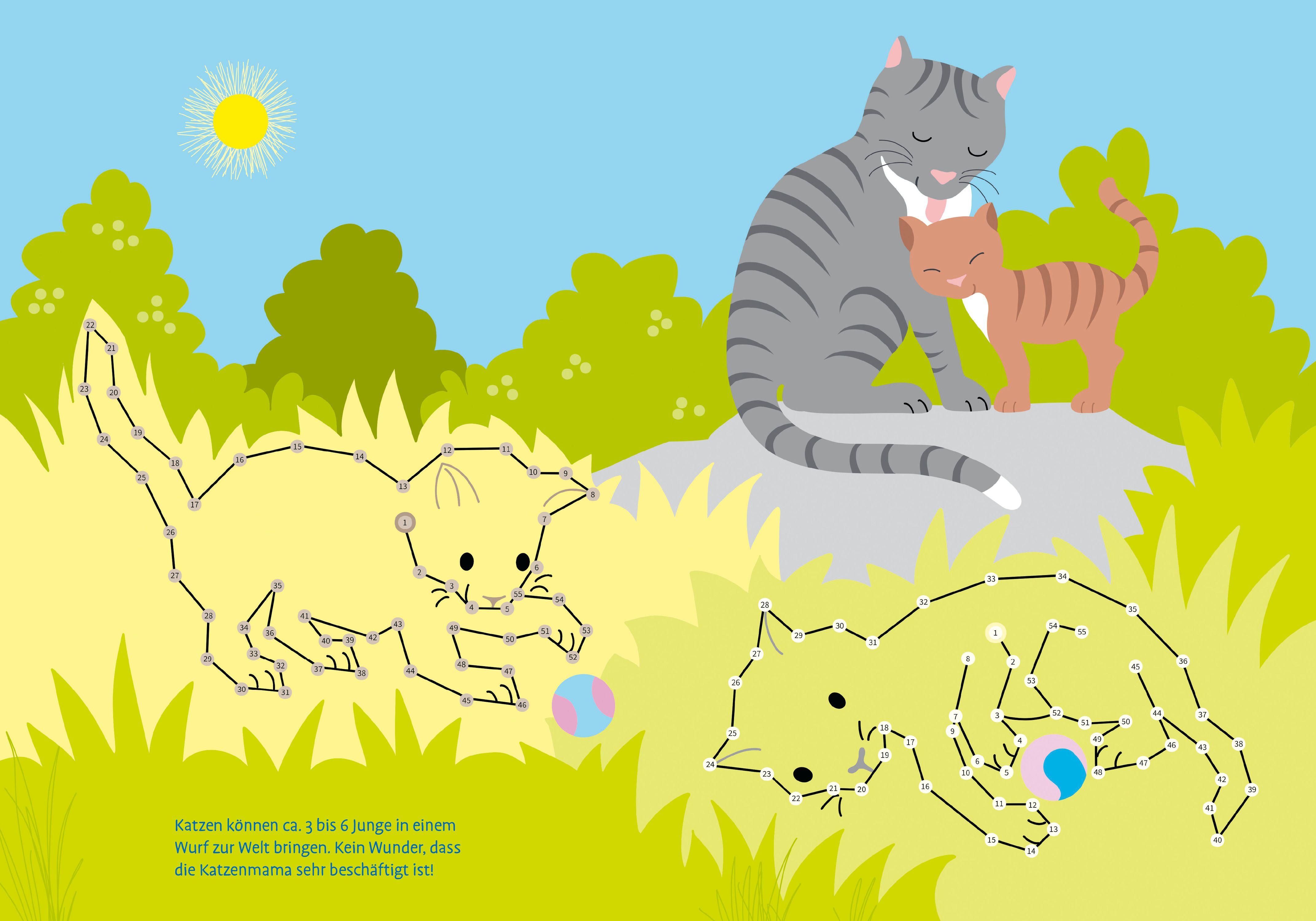 Beispielinhalt (Bild) Total bunt von Punkt zu Punkt. Tierkinder. Von 1 bis 100