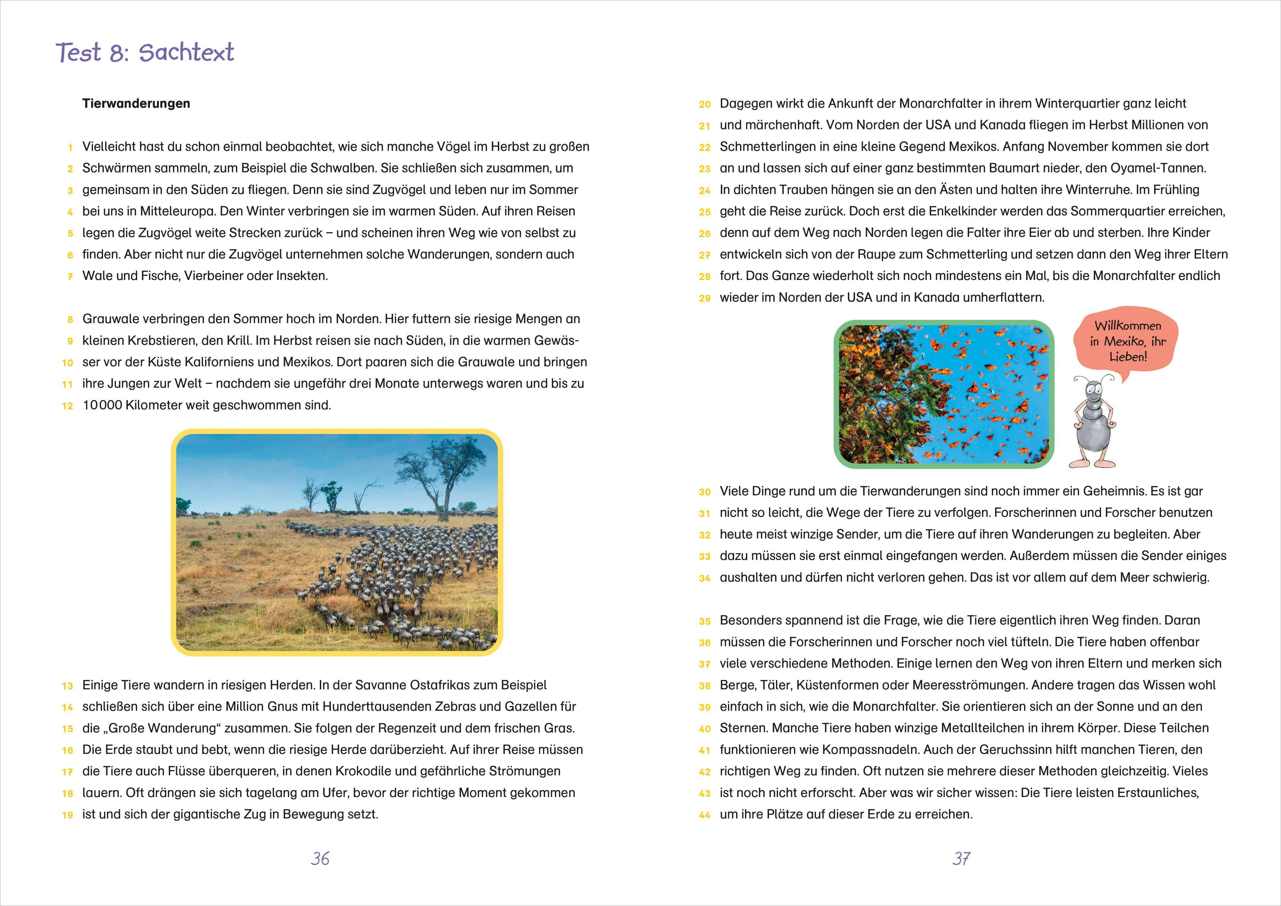 Beispielinhalt (Bild) Fit für Lesetests 4. Klasse. Mein Testheft