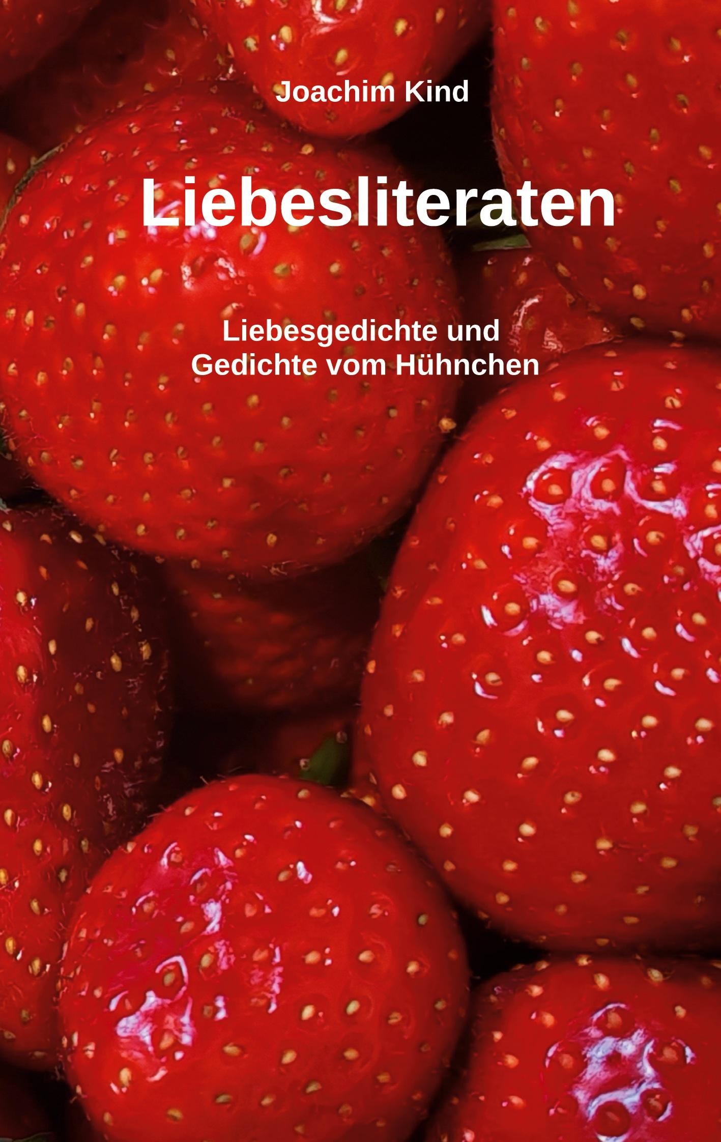 Vorderes Coverbild Liebesliteraten