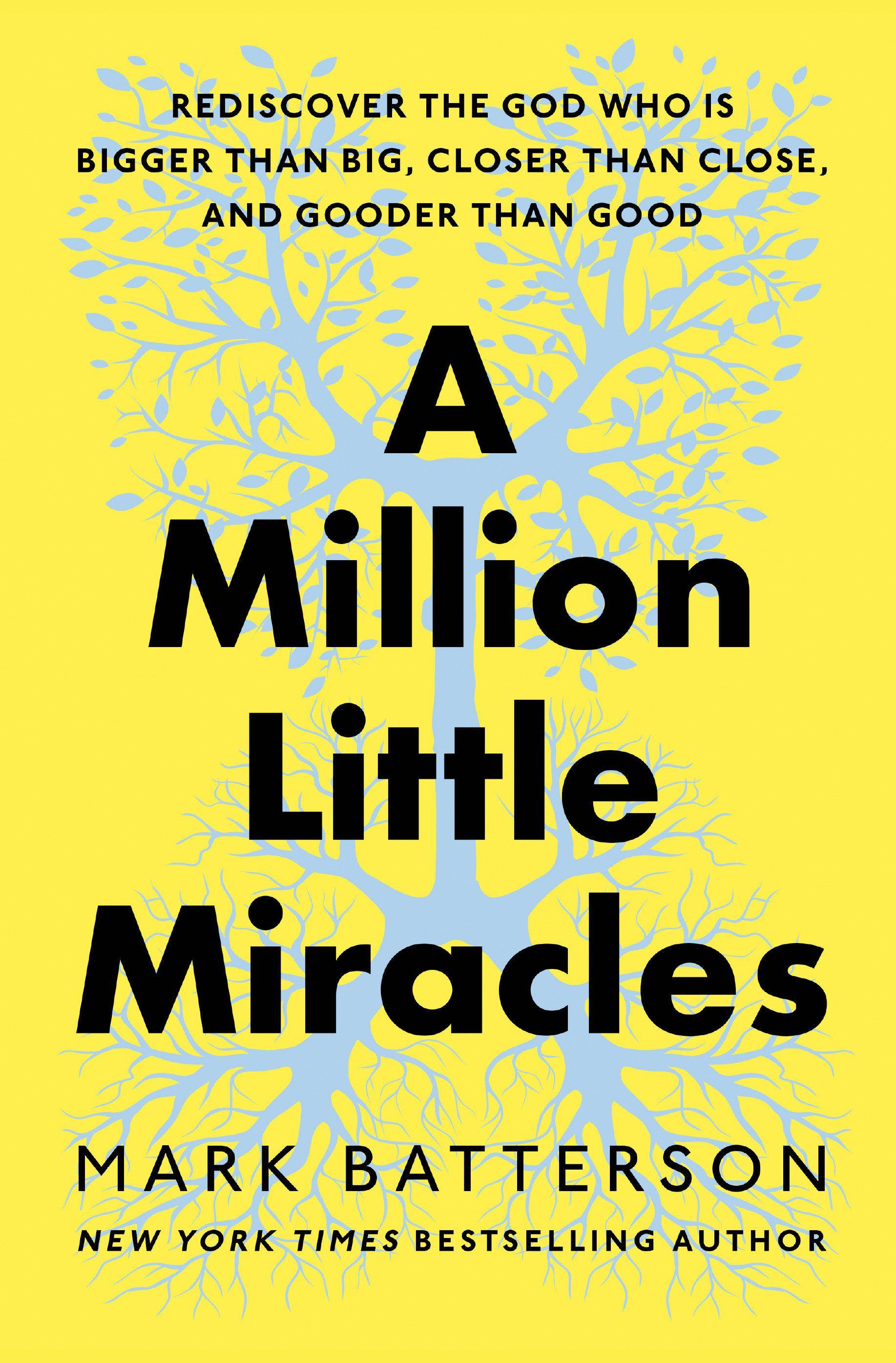 Vorderes Coverbild A Million Little Miracles