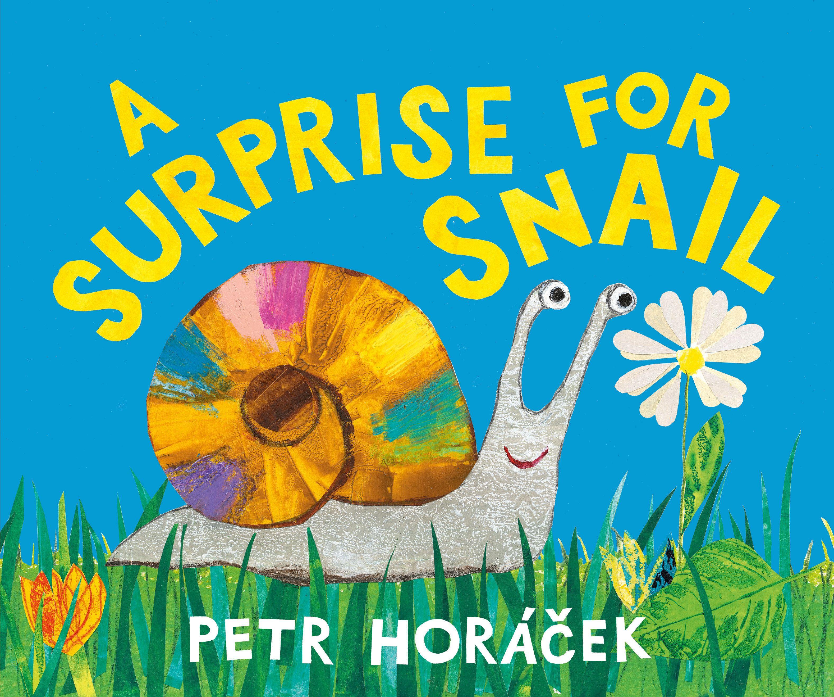 Vorderes Coverbild A Surprise for Snail